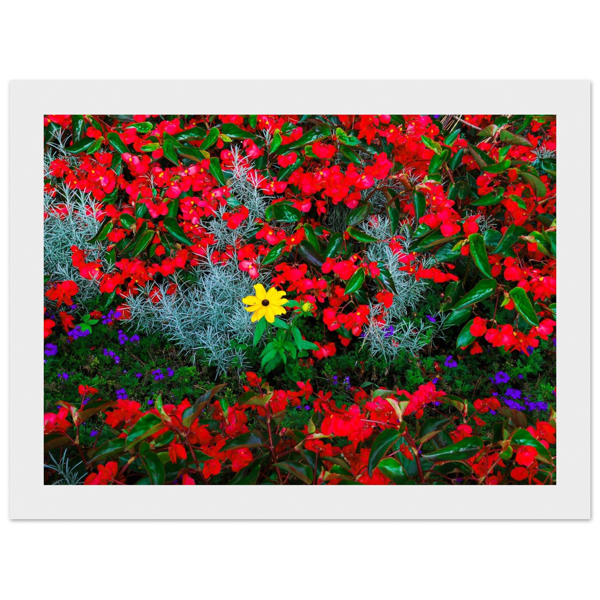 01fe119f-8018-48f9-8191-8d5e0845bf93