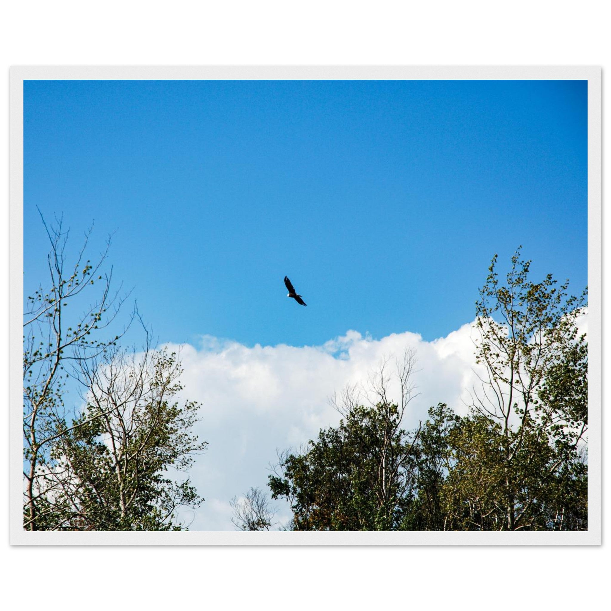 032665e4-bf73-47ba-a4a3-de6e9fad2178