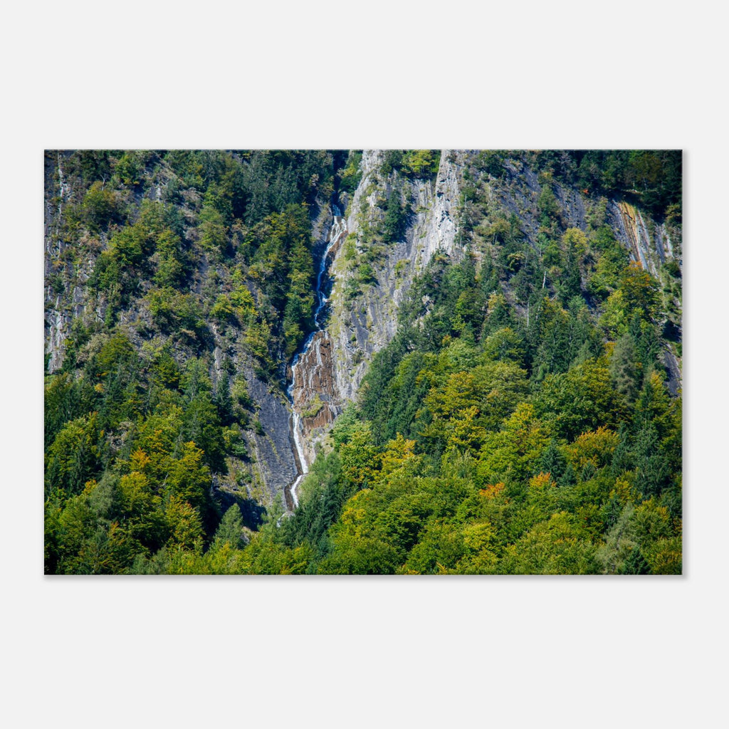 0369f463-8173-4c74-bc0d-ef45e2998f3a