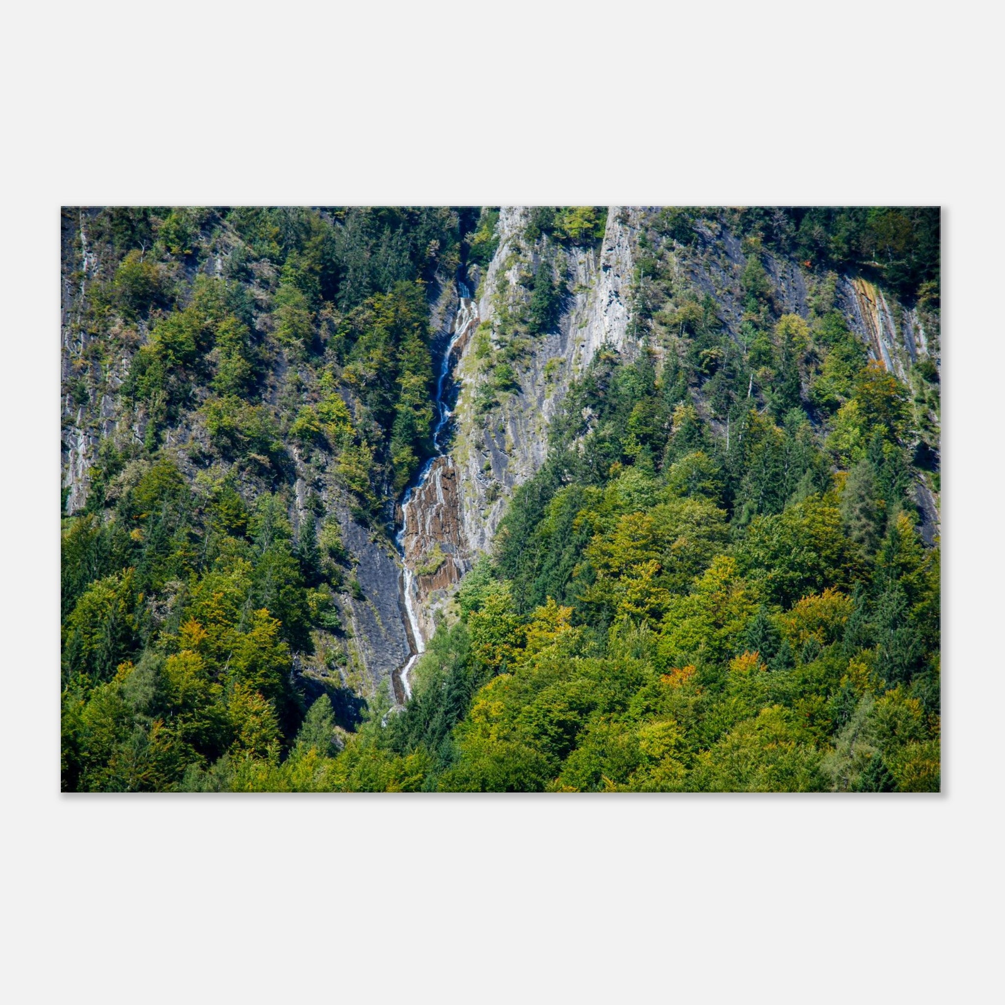 0369f463-8173-4c74-bc0d-ef45e2998f3a