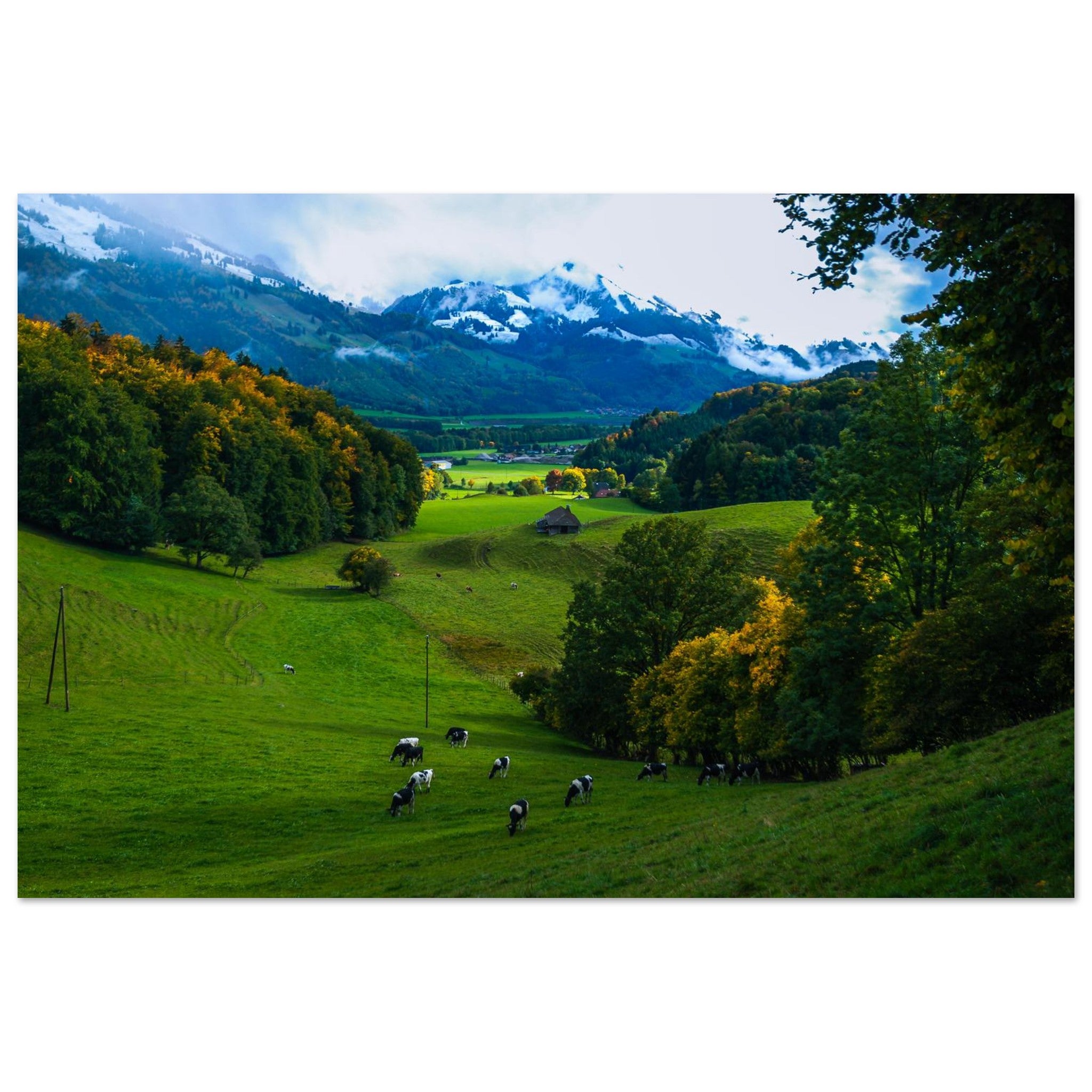 039dacf3-8132-4cf5-8f32-d215cff54537