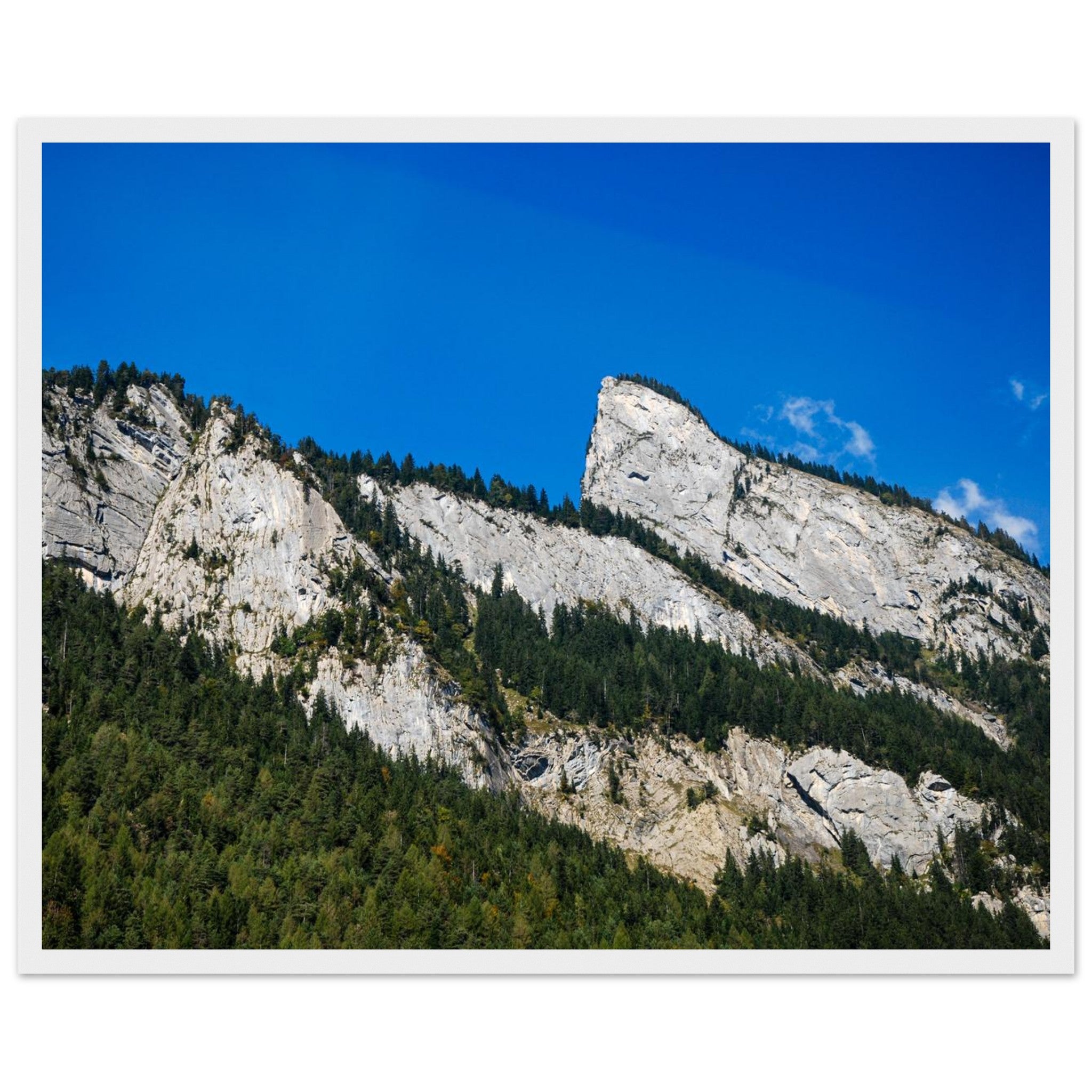 03fbbe4b-e7c4-4a78-95cd-9e2a3c7caba4