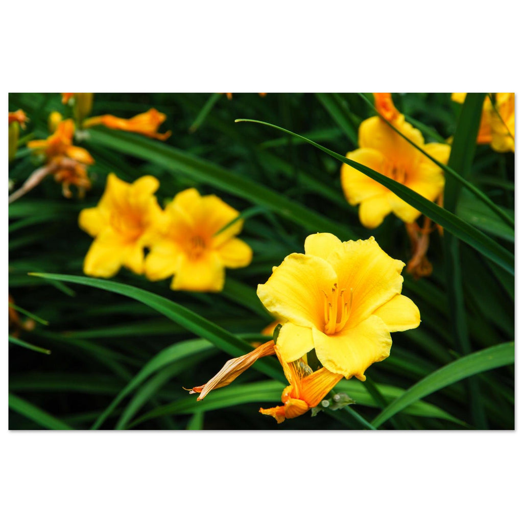 0427c977-93de-4bdb-9c10-88f9e72cd65c