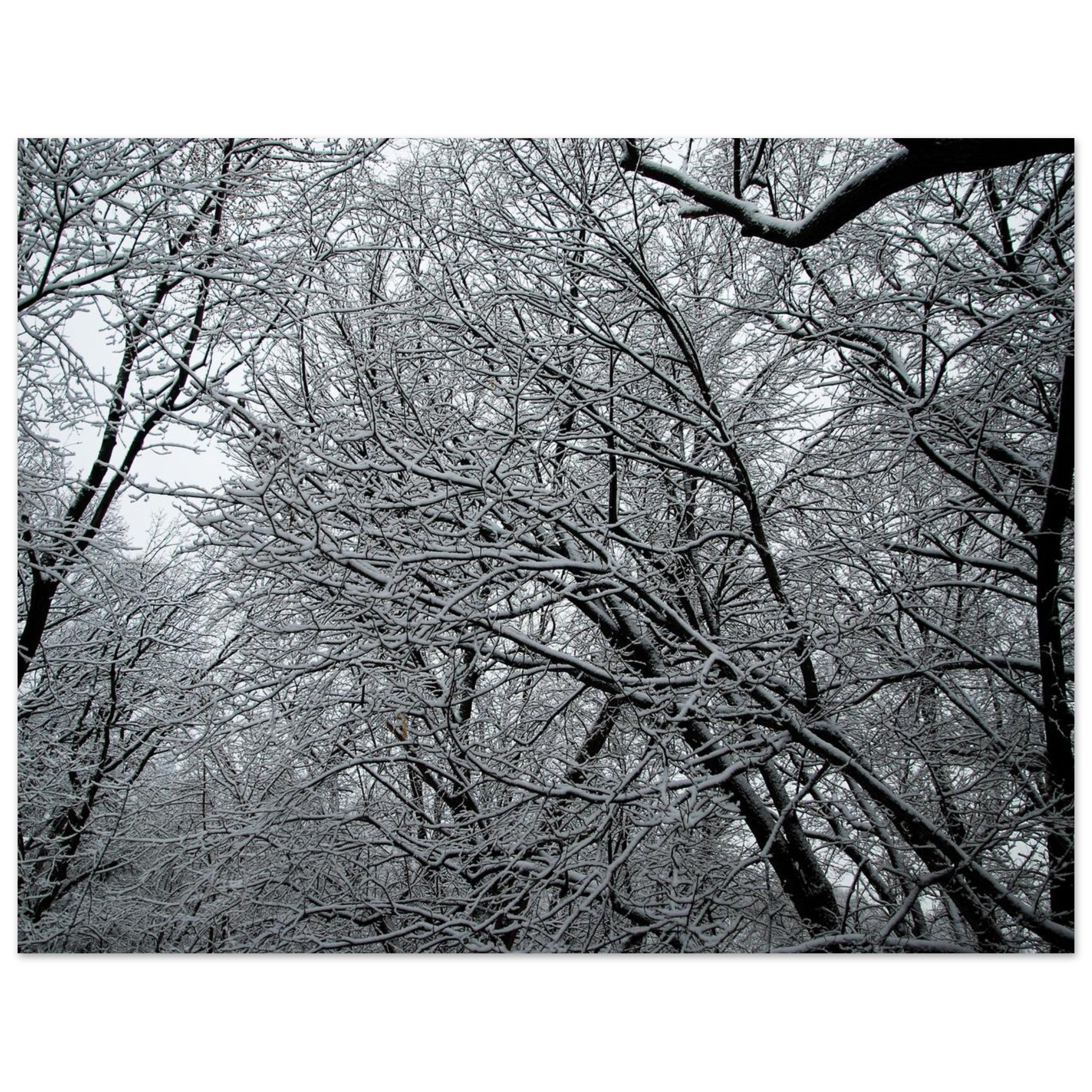 0463497a-17bf-4115-bfea-f5bd3838e92c