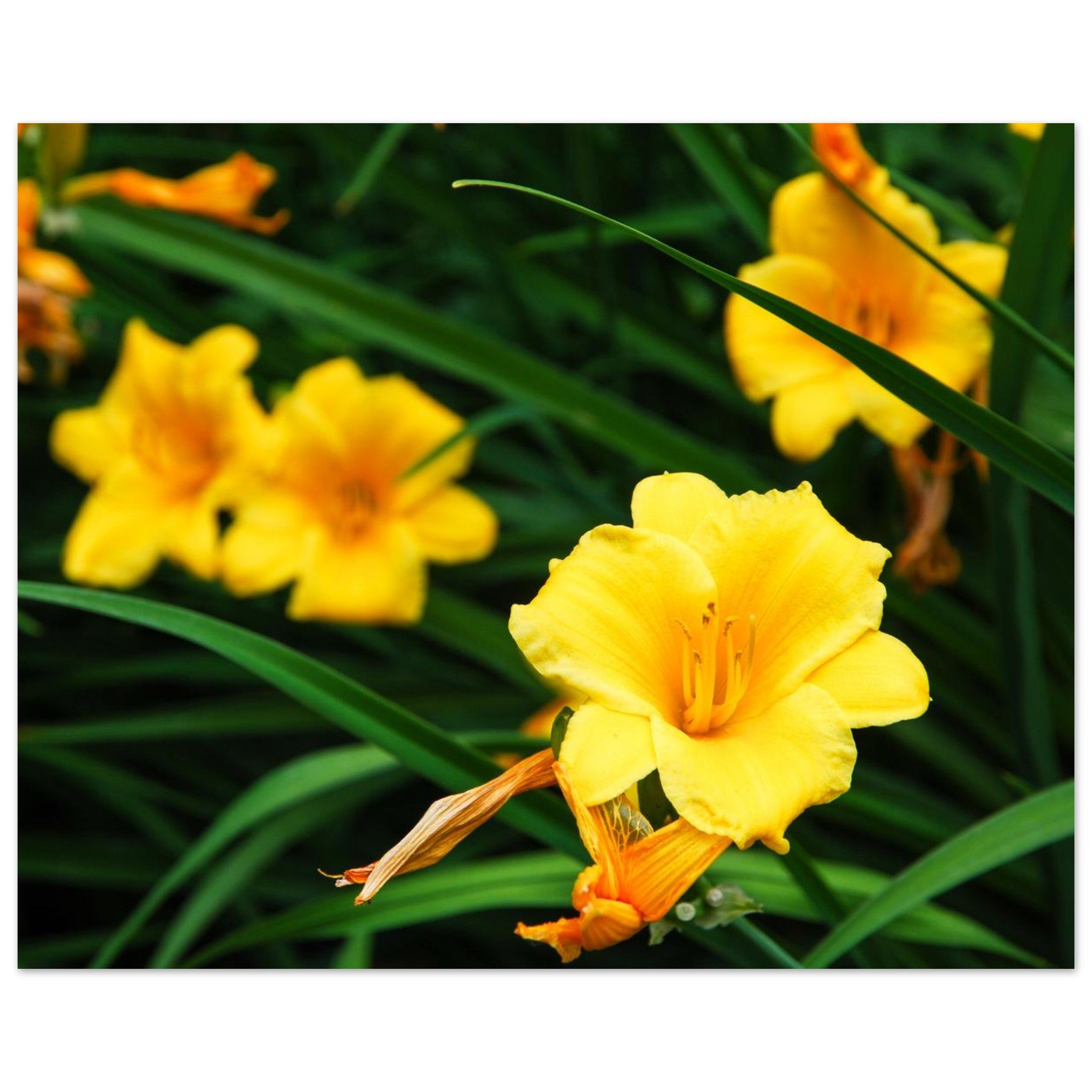 05243f50-756d-4163-b68b-9d7c0c51af2f