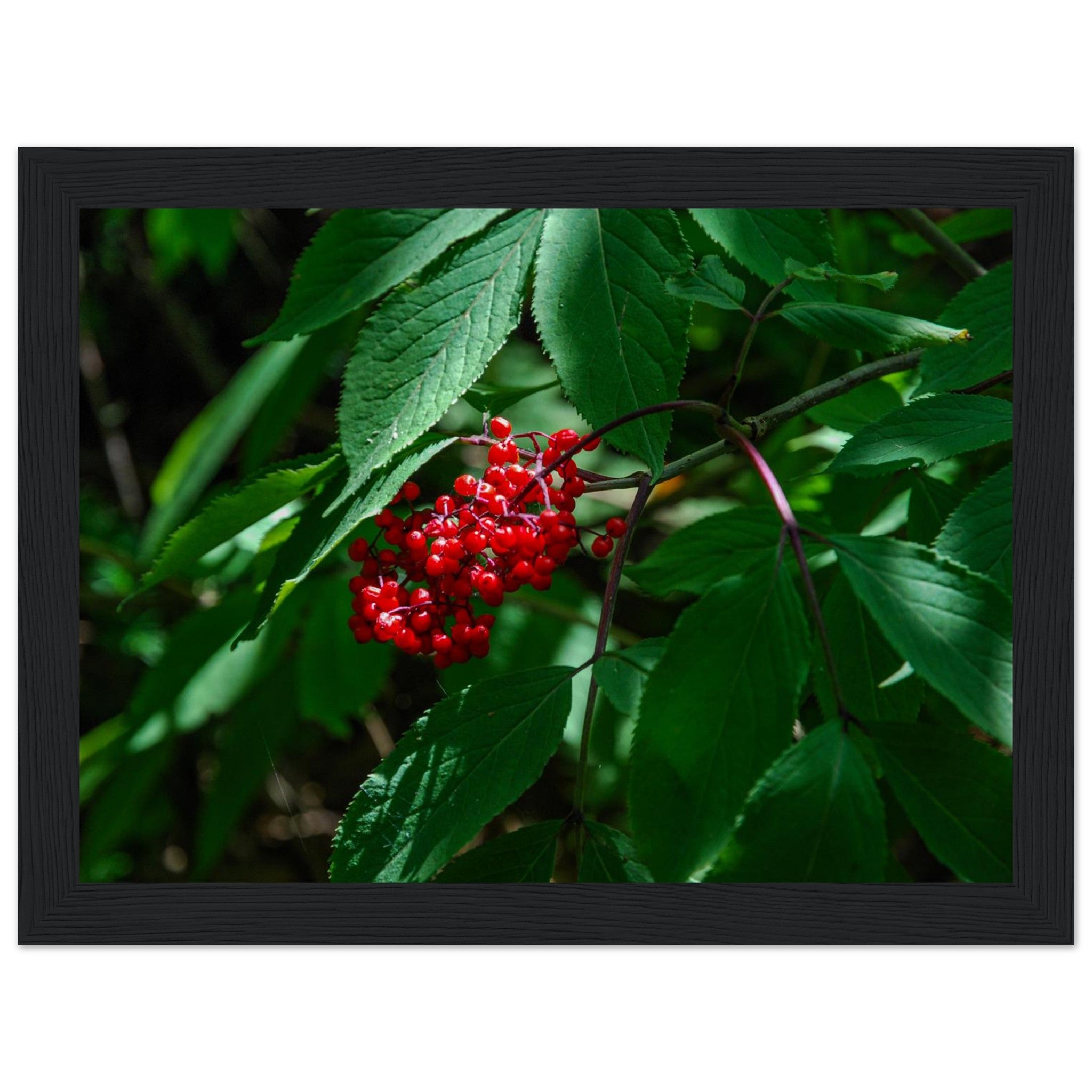 07d0bb70-ea36-4451-ae6f-6f24ee89320f