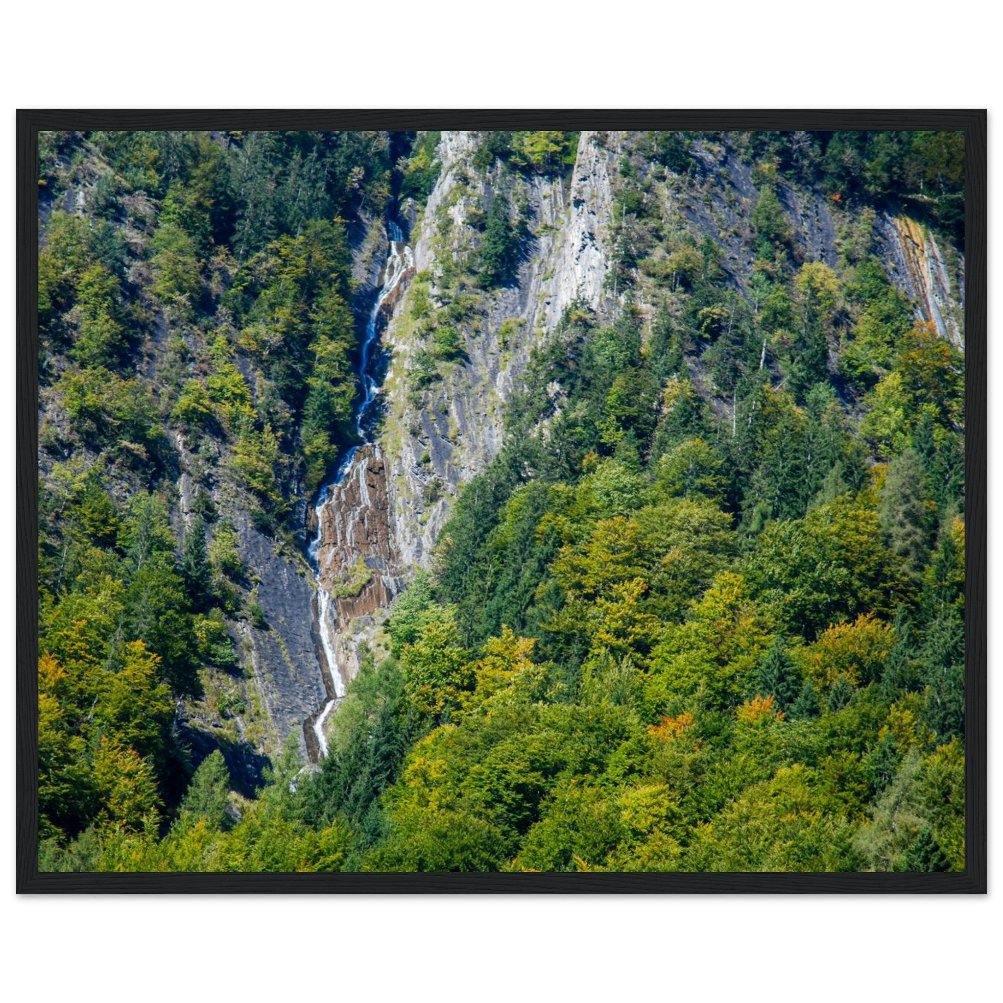 096661c5-61cd-42ef-a017-a2441cb27155