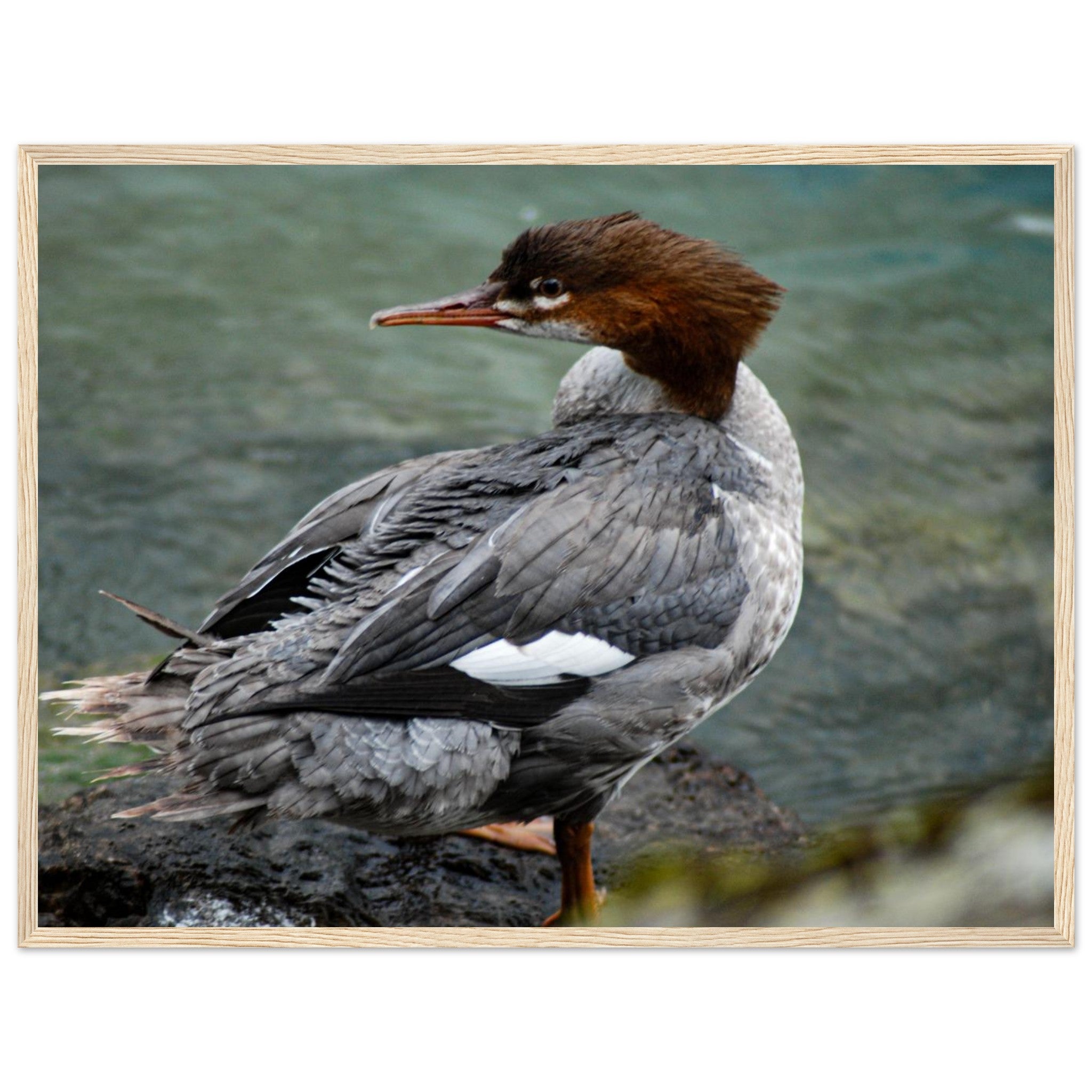 0bef1a07-9d1a-4ab0-b690-9199f402d346