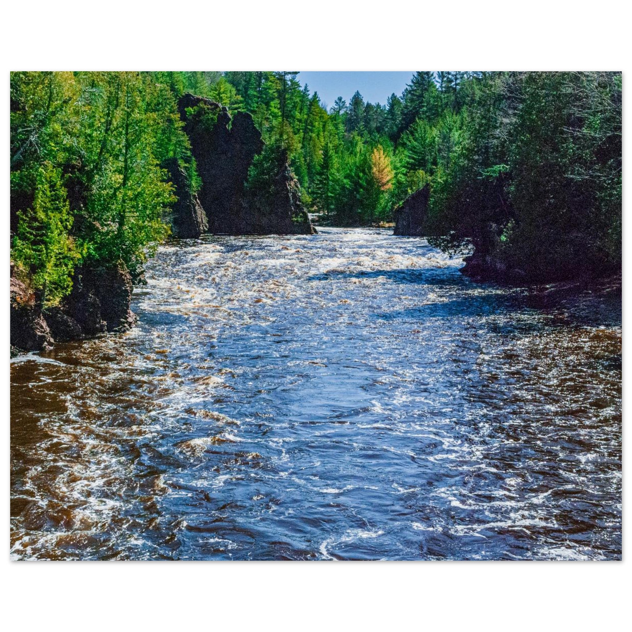 0c0df591-3e37-433c-988f-9cfc627625cd