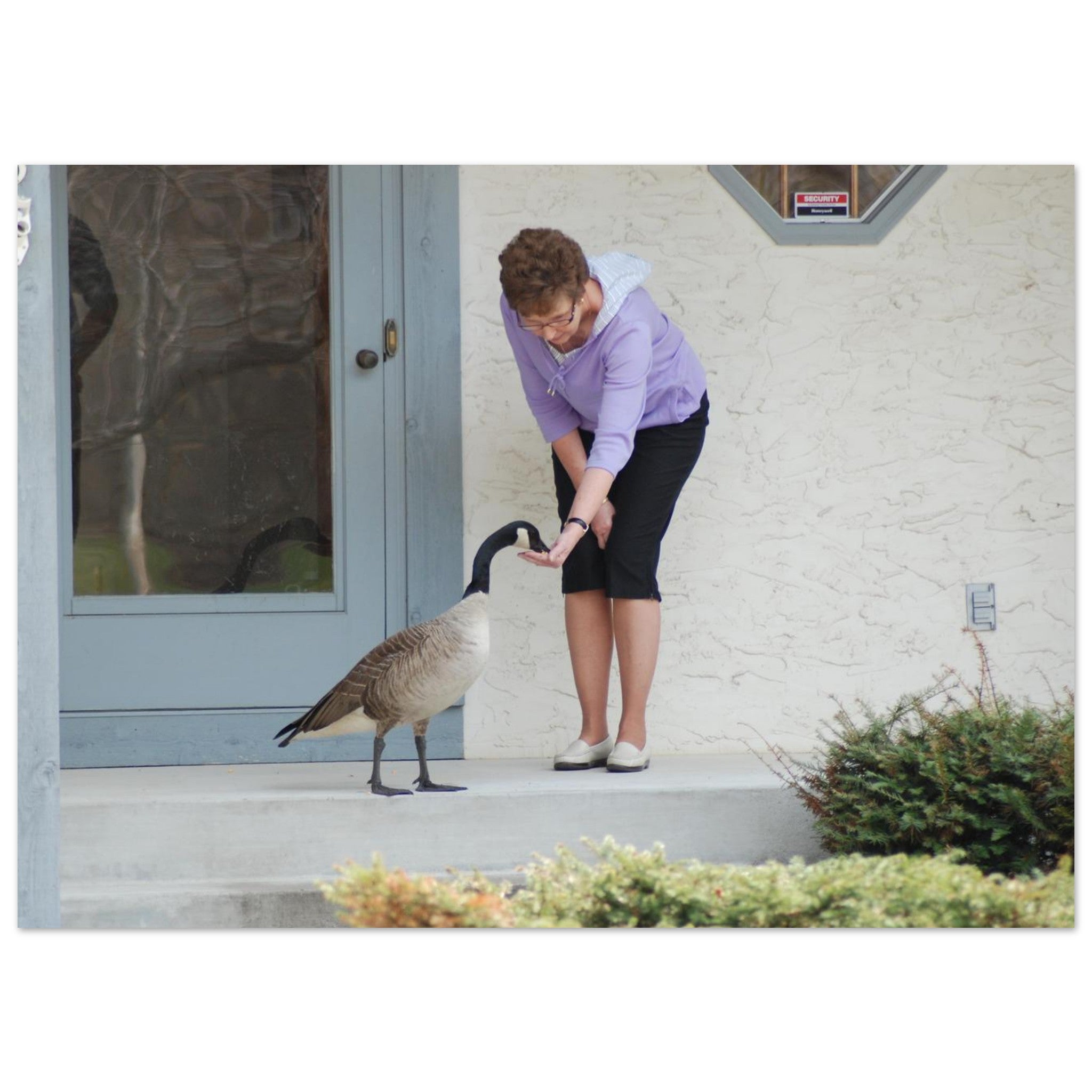 0d14bd70-dacd-426e-86cc-532c94cf054d