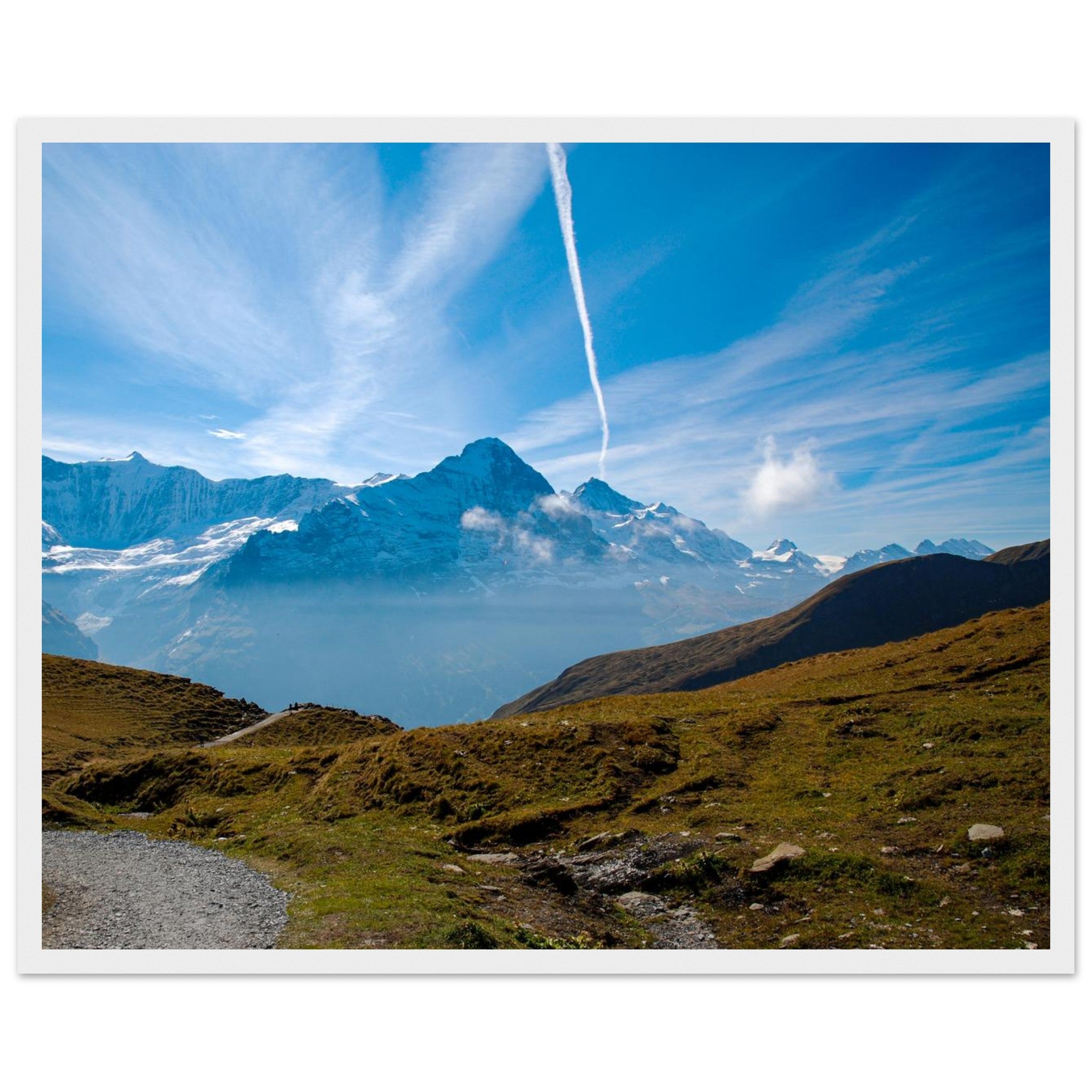 0d1e4395-aaf5-49e8-93ae-42873138ac8b