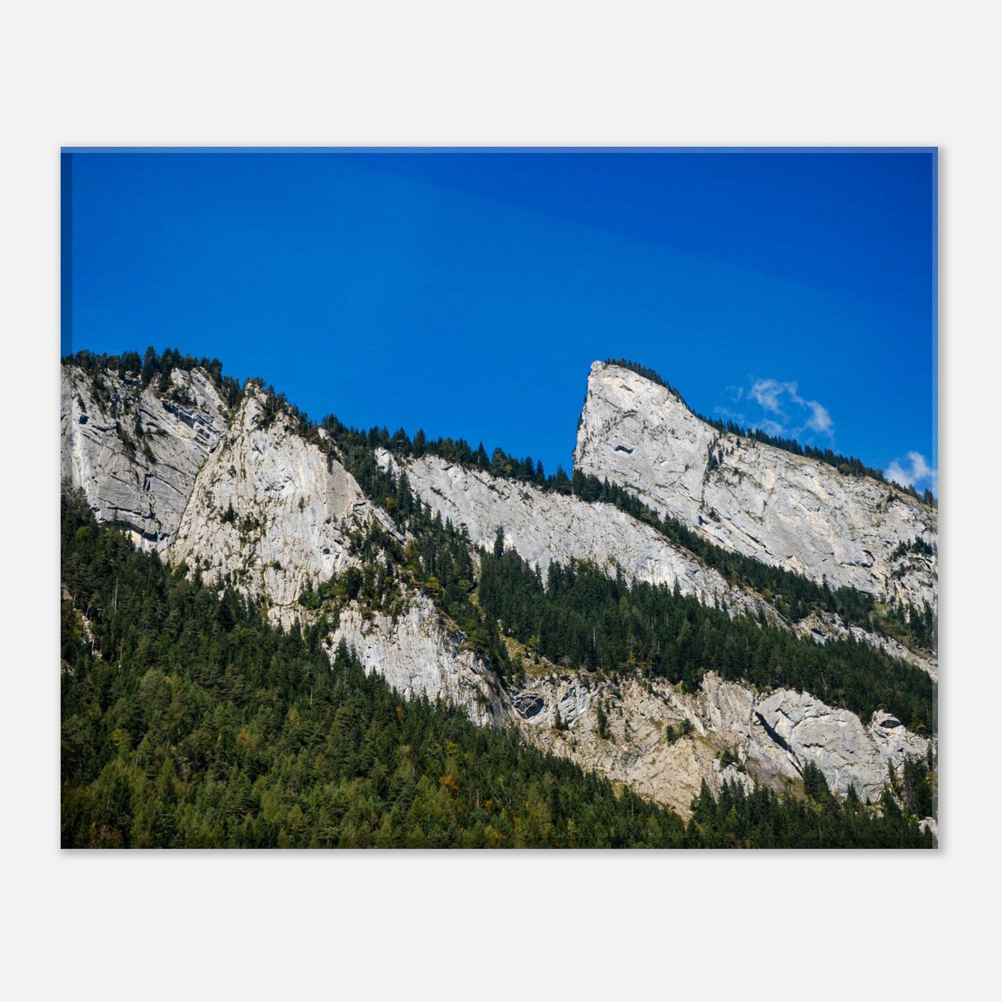 0de31838-281d-4975-a89a-cf359cac46a9