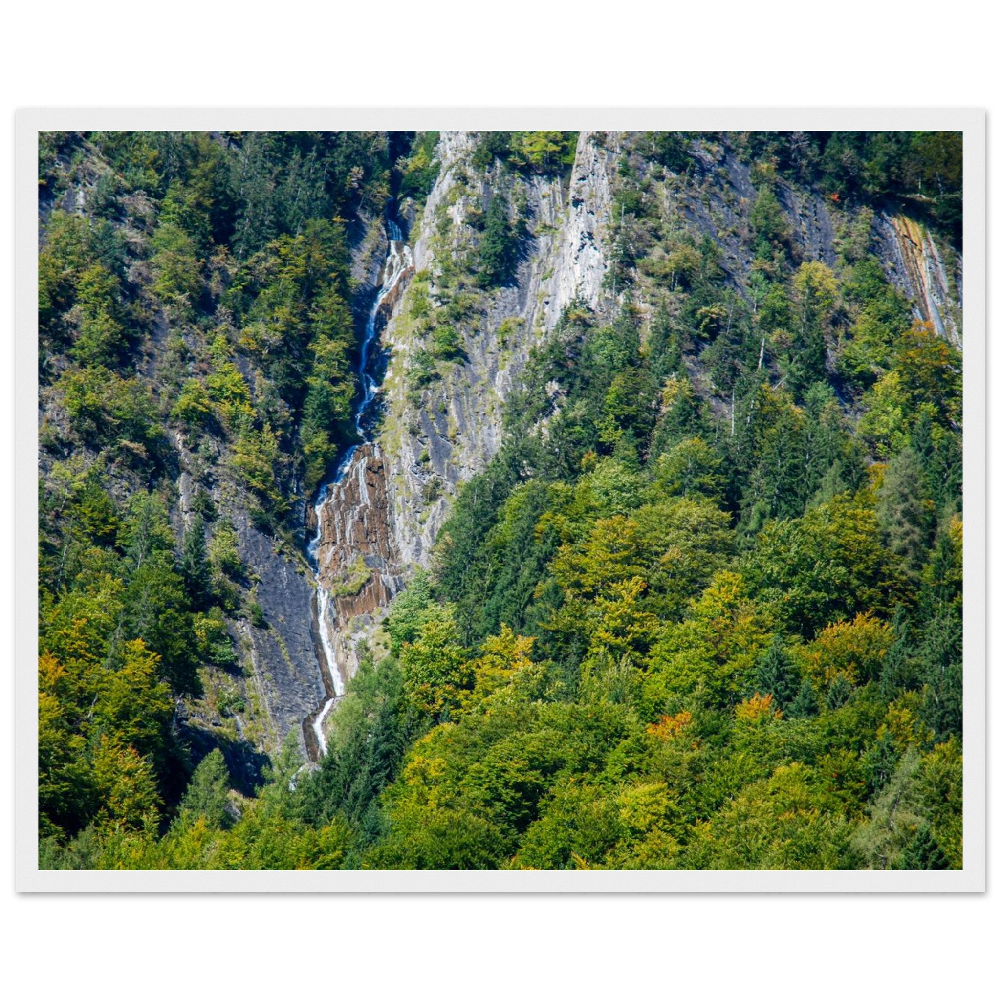 0e5b36ad-2280-4e70-99ea-2cb08361306b