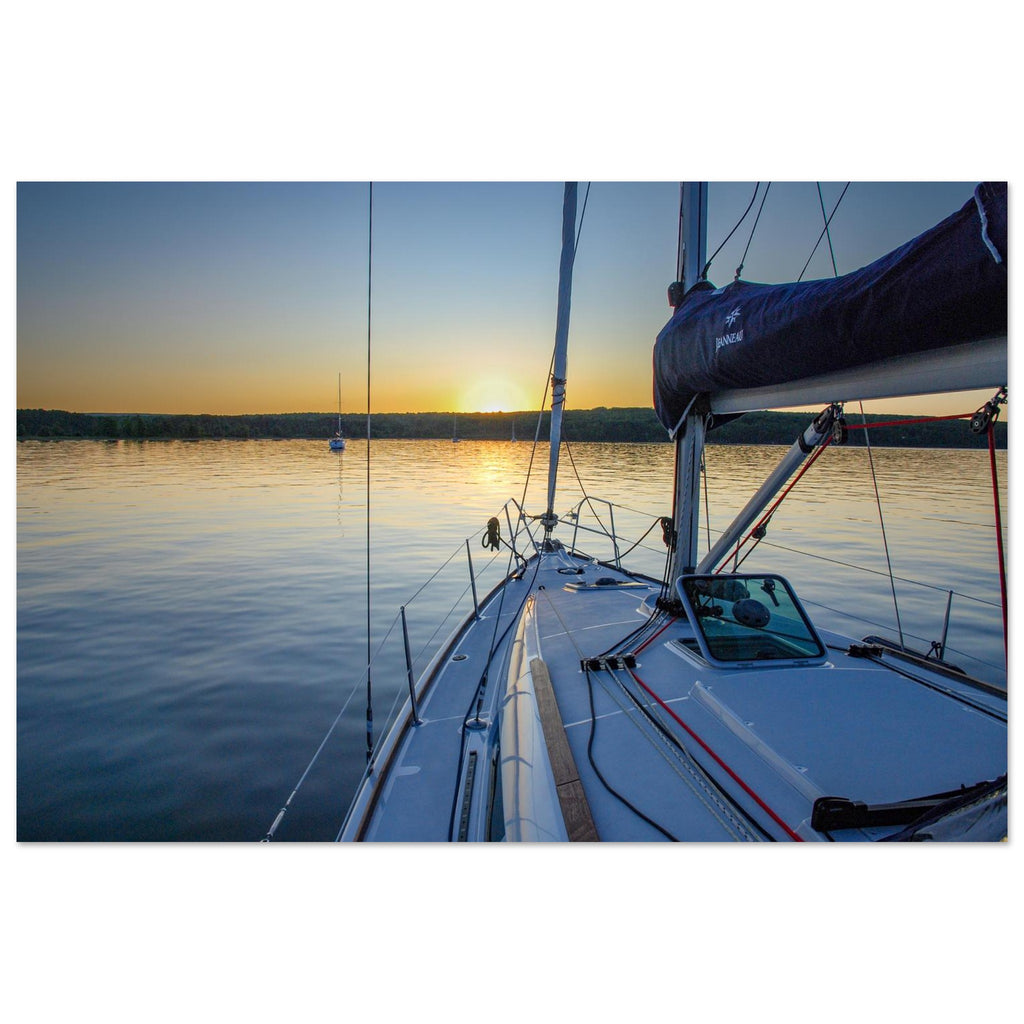 10c56873-672b-4a70-a4d5-9353d4b6e37e