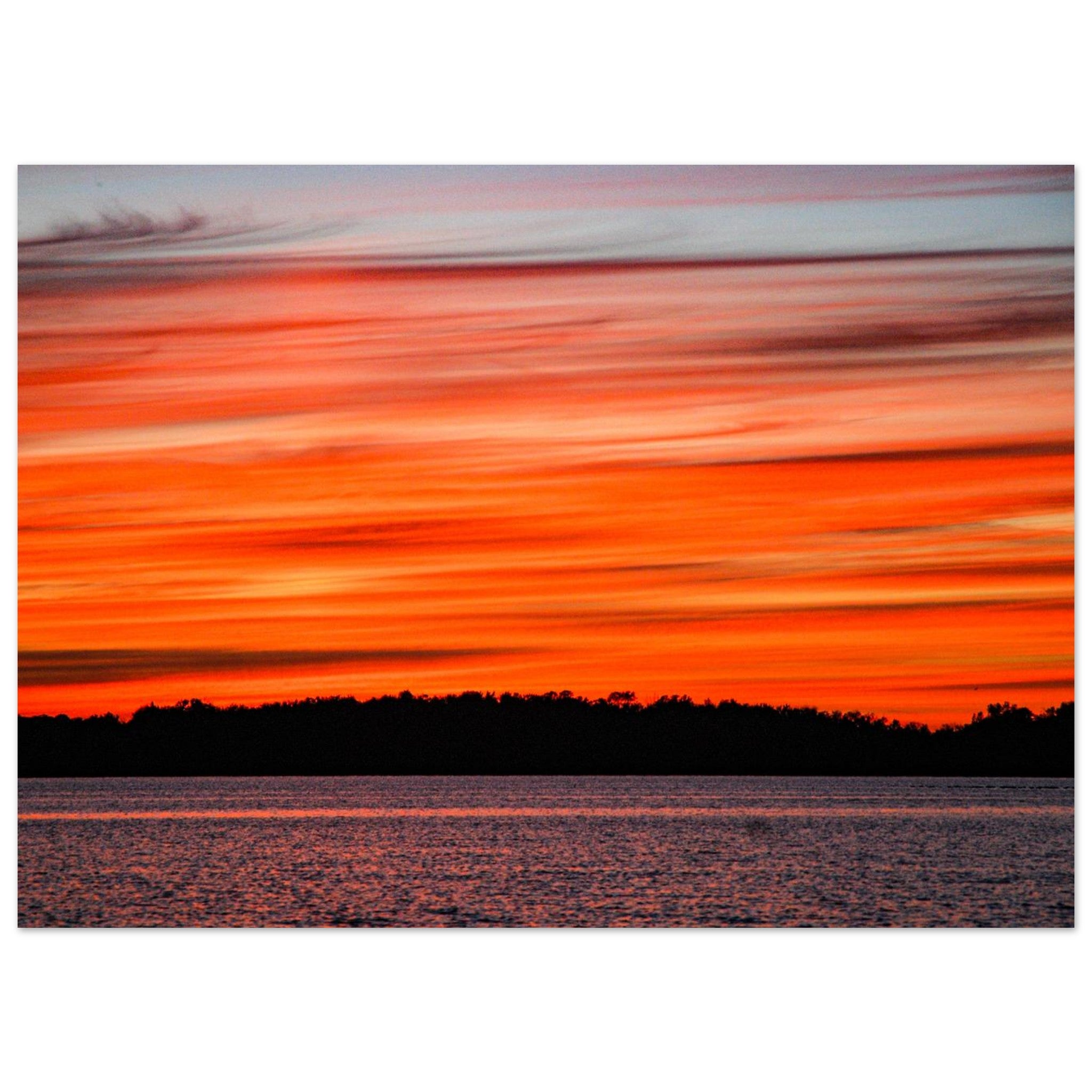 12c6c071-349d-4729-9f26-94f079900c8c