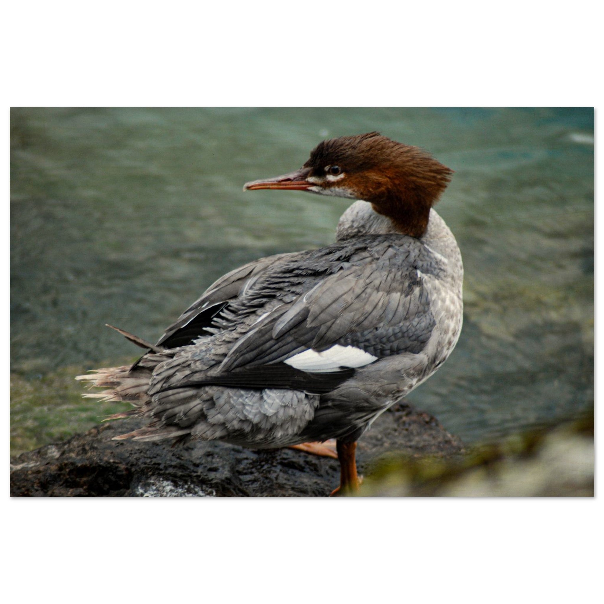 1335ac27-979f-4198-97c4-54b36baf5d38