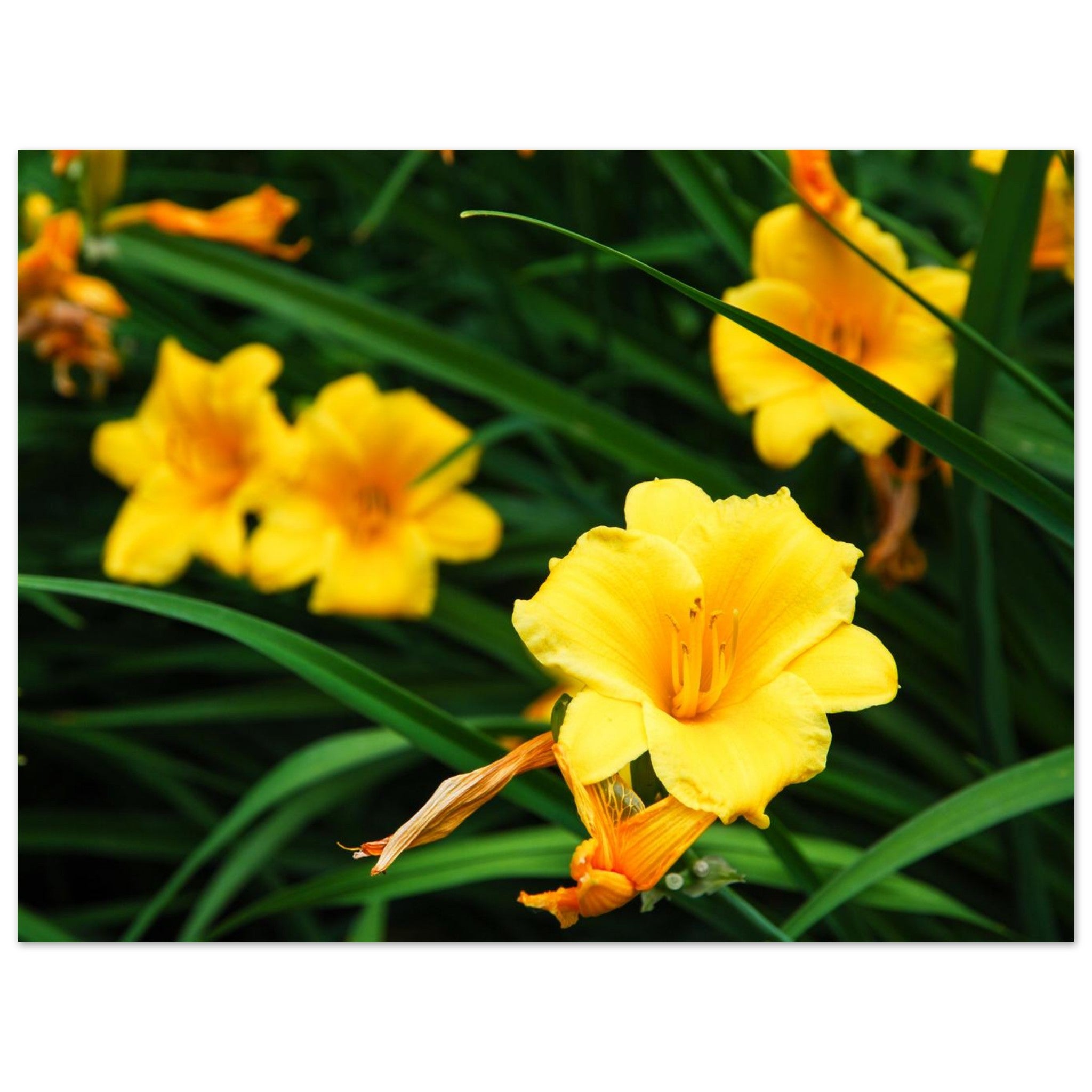 133baf3c-823a-47d4-b61c-dac29aff22c0