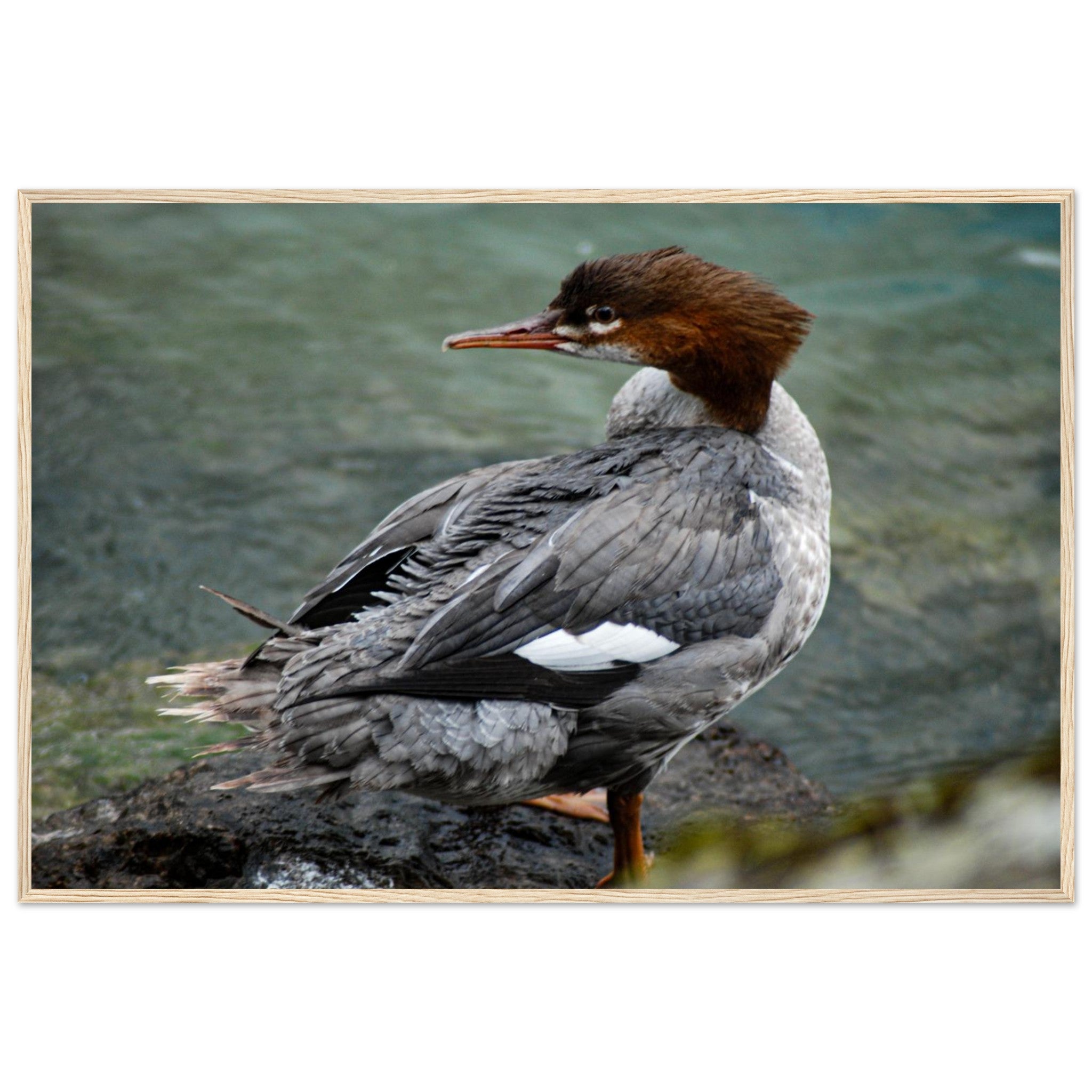 14086cb7-4357-4ecf-8aa6-cc4c5e8a0e30