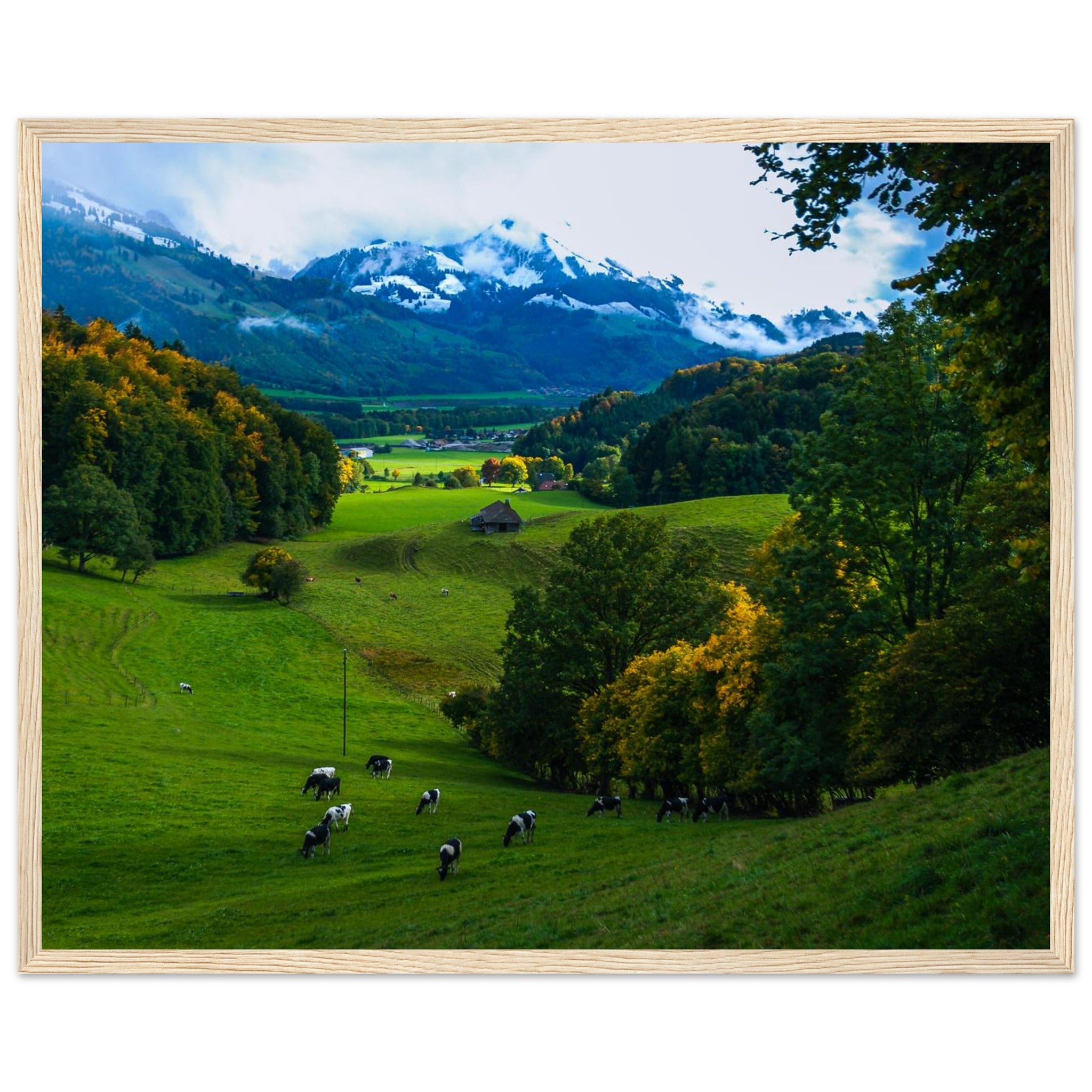 142dfd36-fc16-455d-9b04-079eb97d22dc