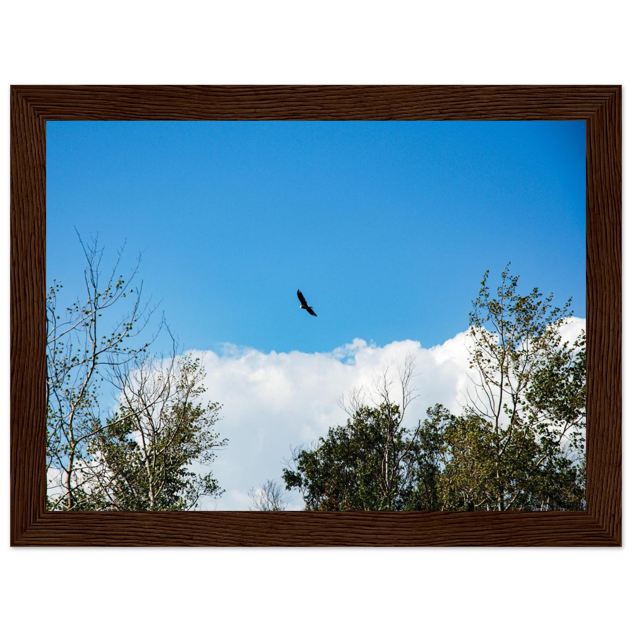 154024fa-5d8d-4bea-b72e-29d3bc399e22