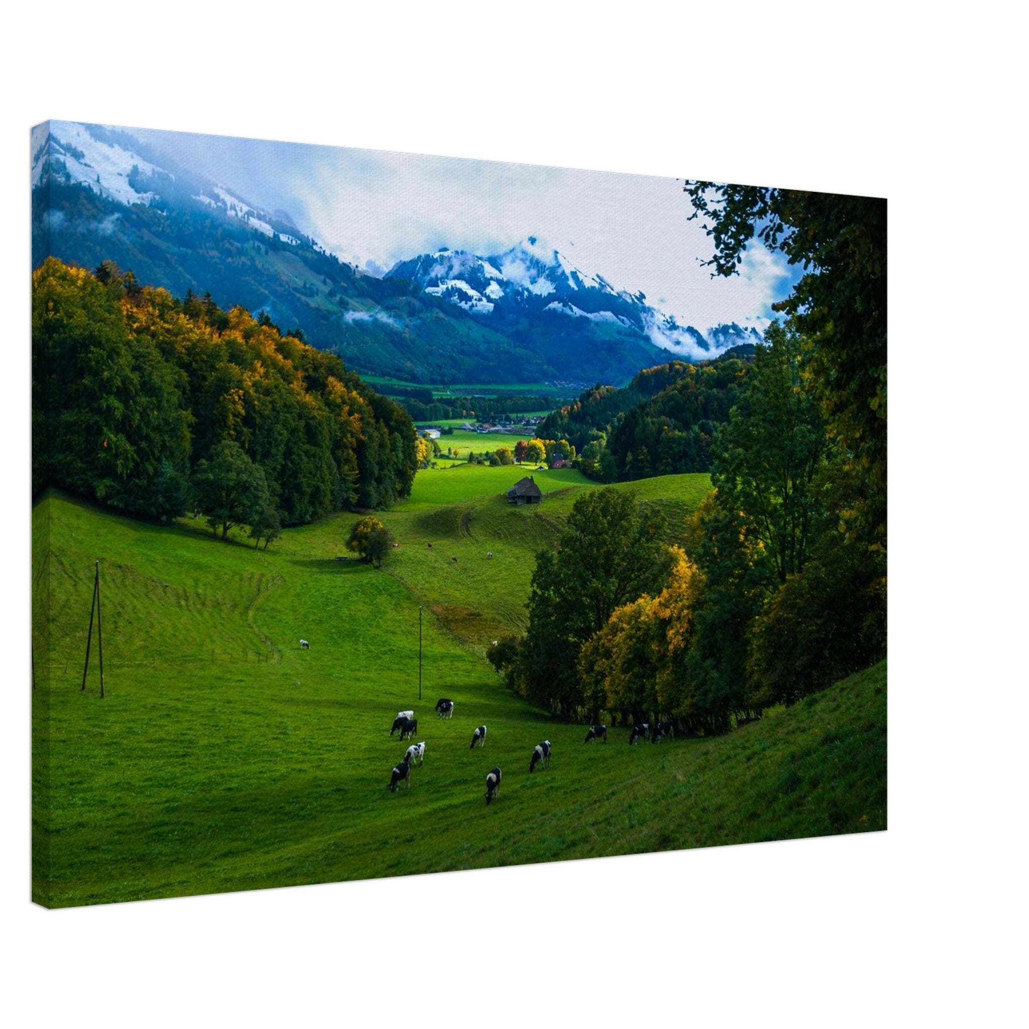 175153b4-af9d-4f09-afd7-5a9c668b6876