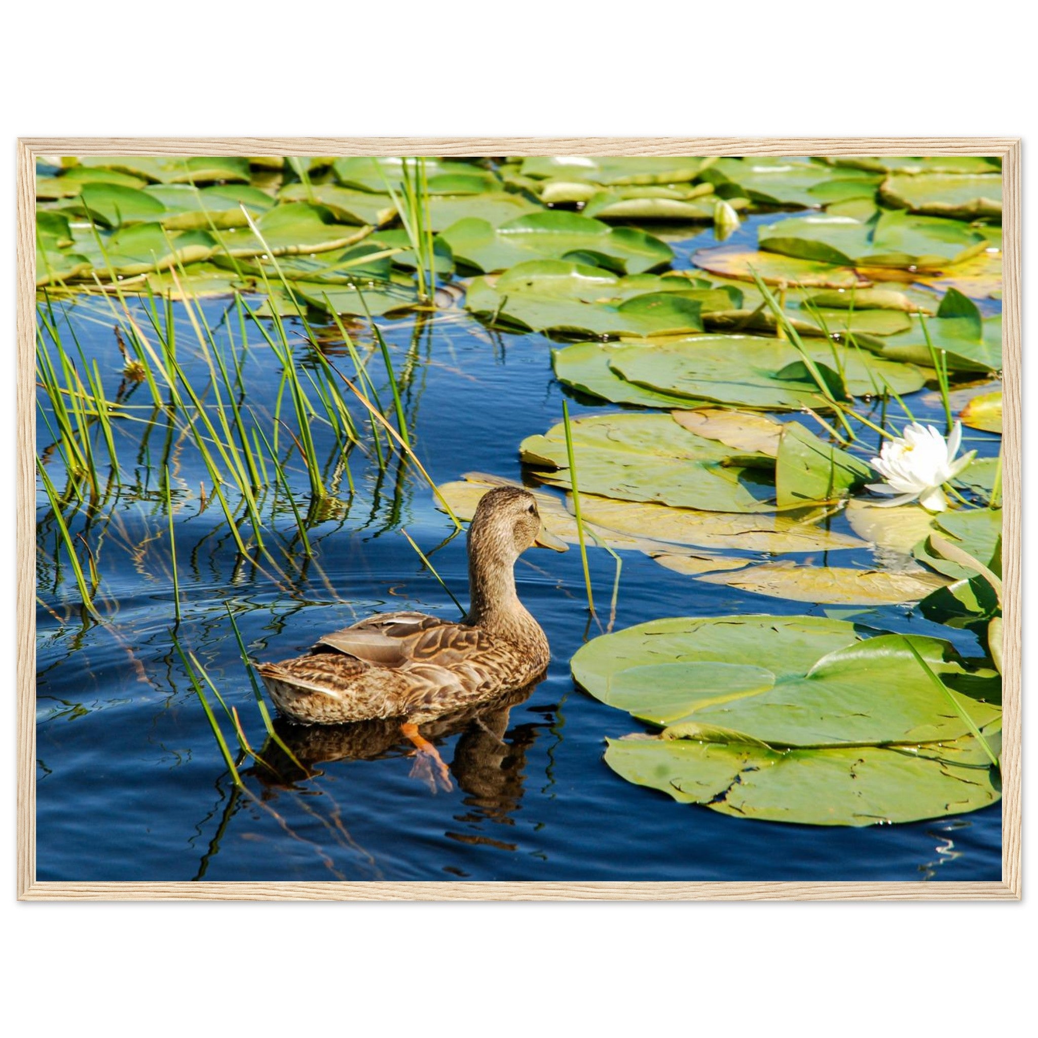 190de7bc-2409-4c81-9bec-07f65ef9f7e0