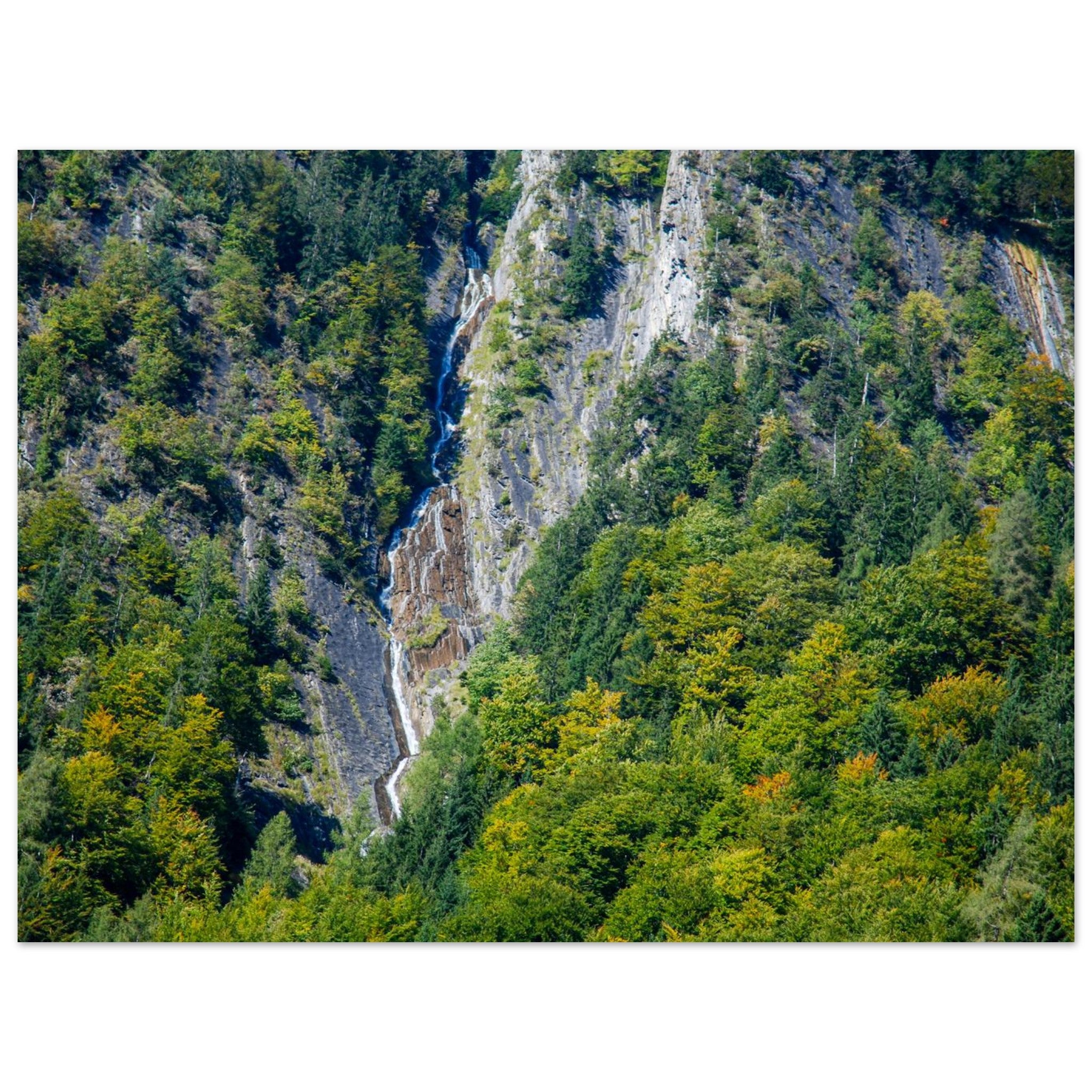 1948ac54-605a-4f2d-8489-08d7807a17d5