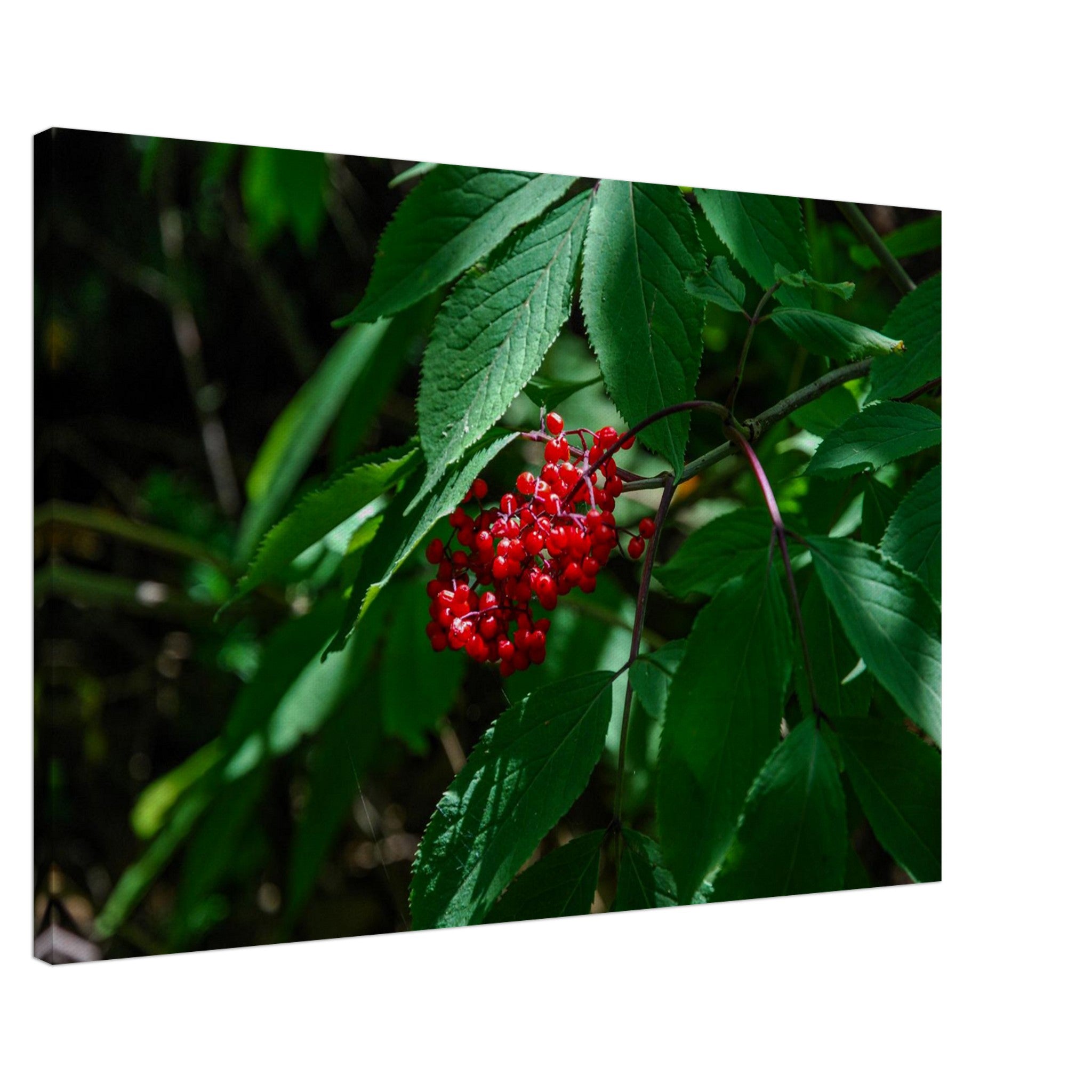 19f2dc9b-adda-4886-8ec8-cbe581583889