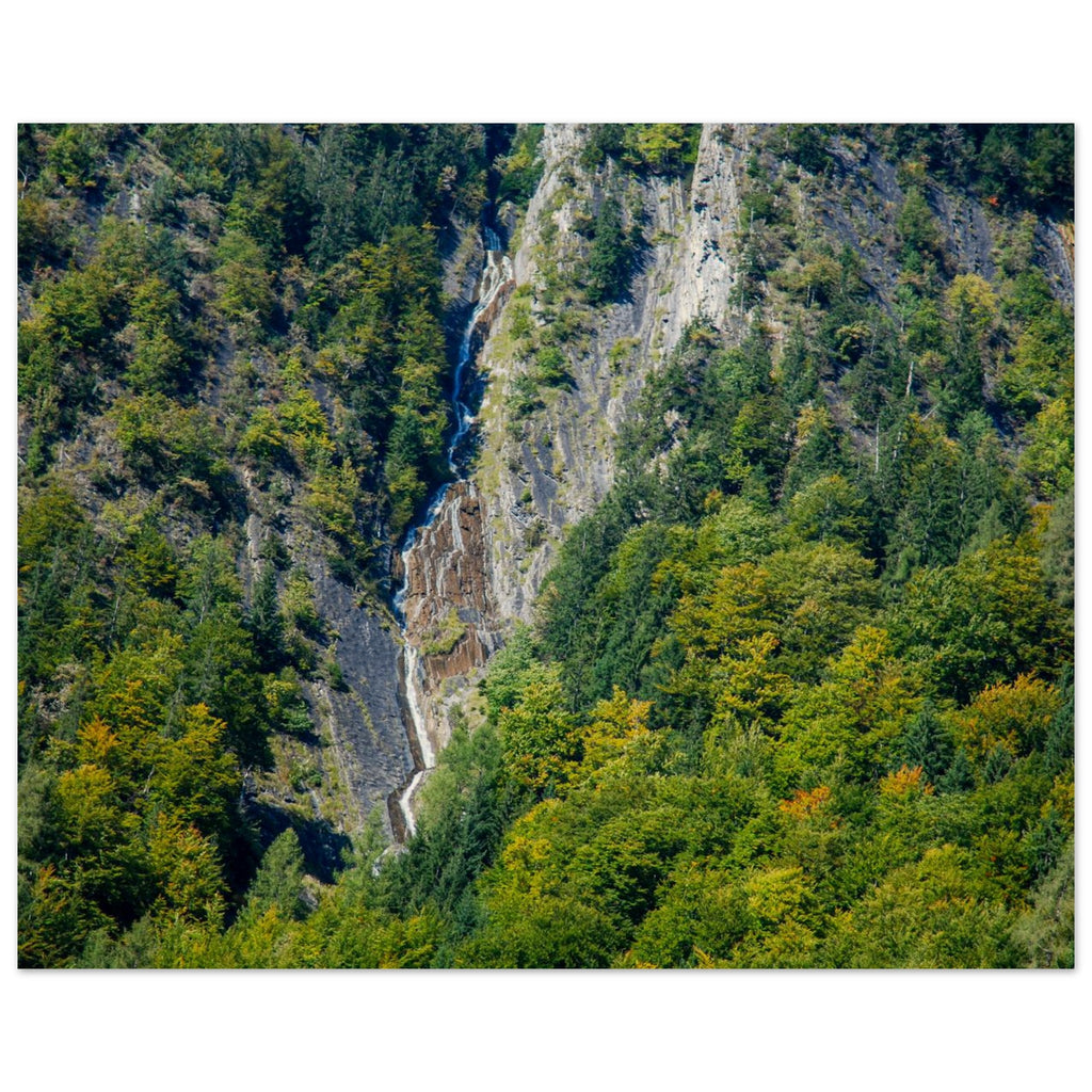 1c426575-da19-4207-9ae2-ce7a60f7ee5c