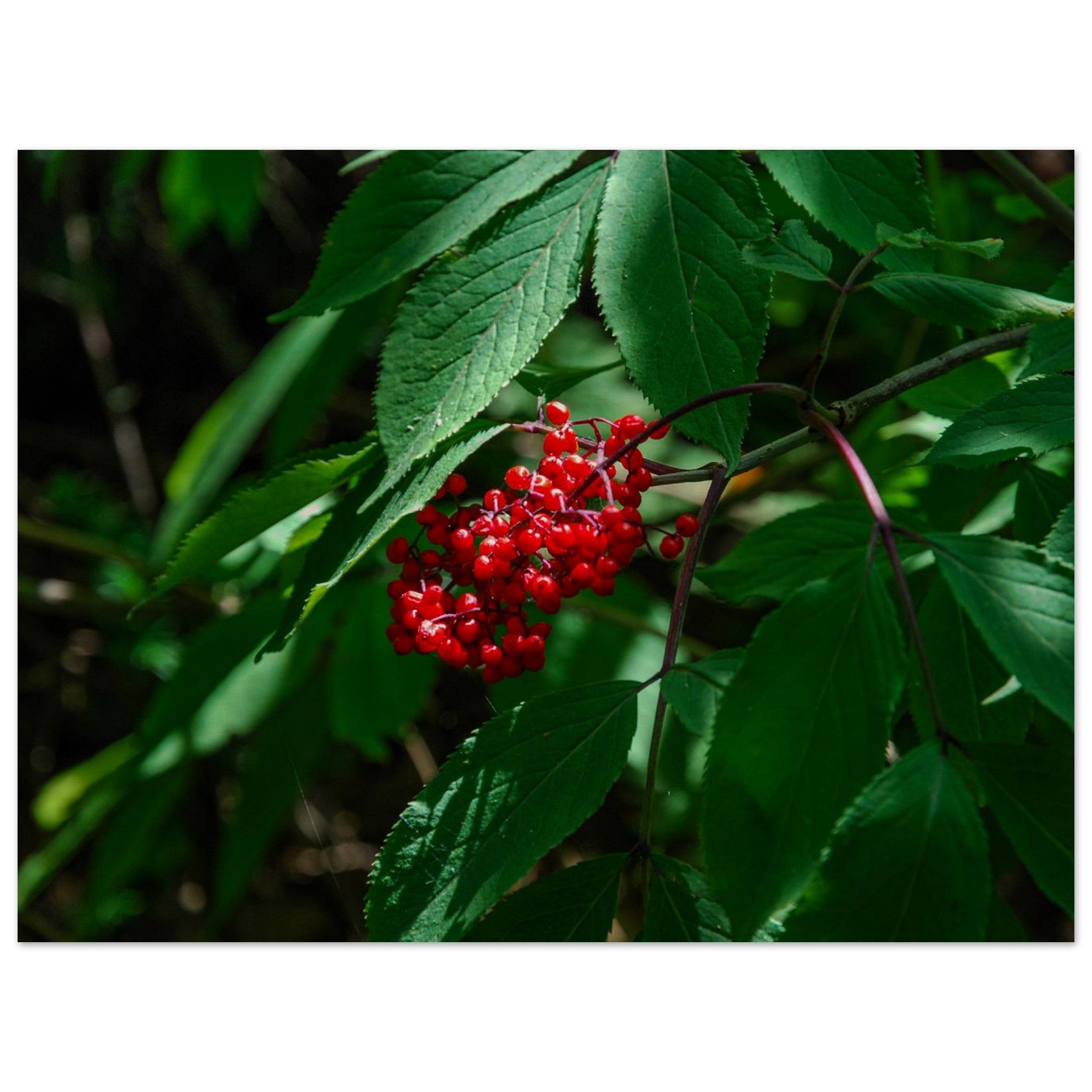 1c432805-640e-4467-b0b1-1bbb5a3b4941