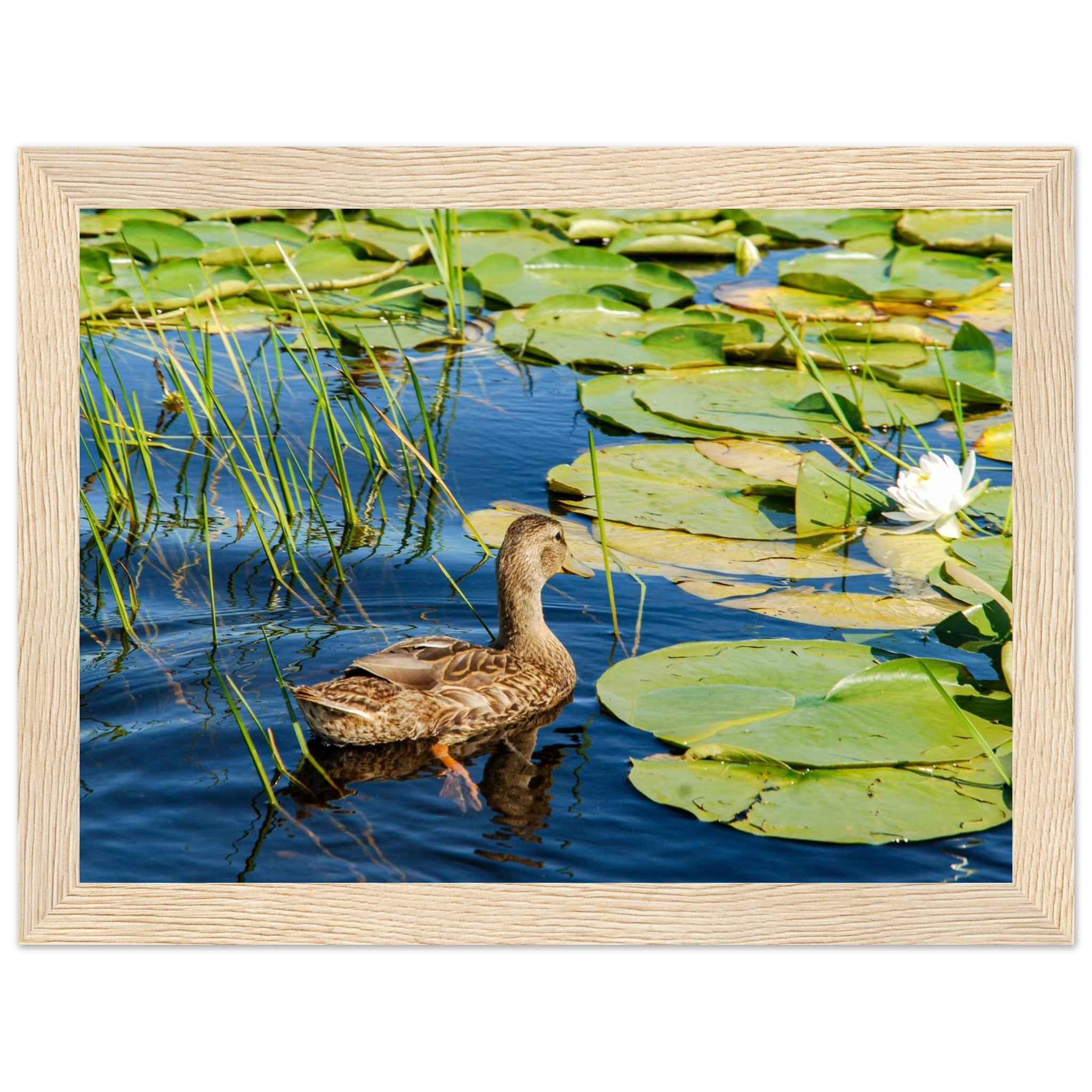 1ce43e05-7f38-445b-a5e3-3c581c2dca7d