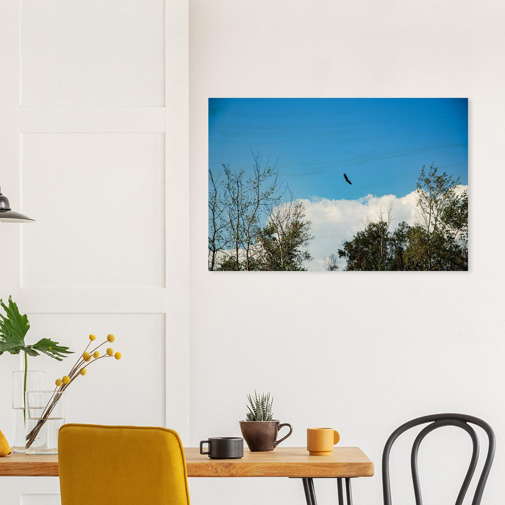 1db2ad07-17d6-404e-a5b2-748b31012c26