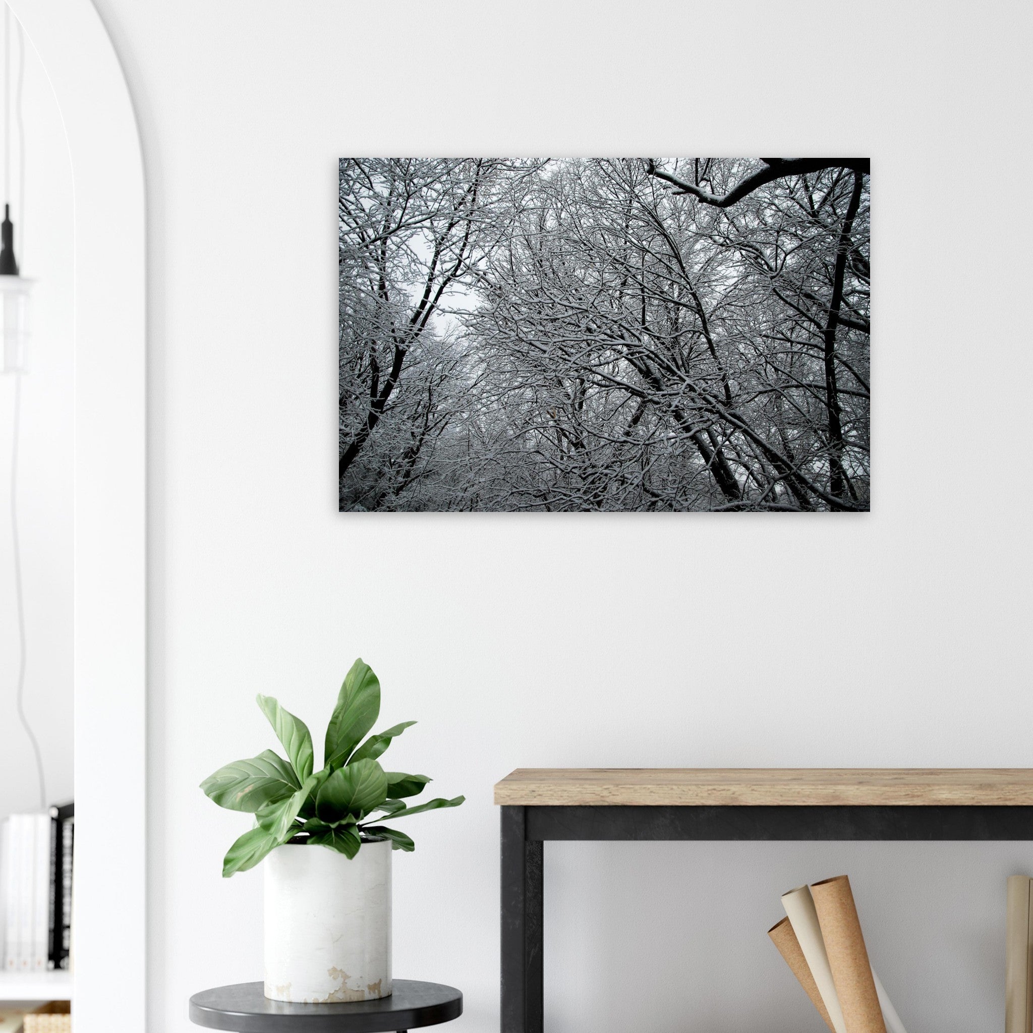 1e0d5843-33b0-41d4-94aa-8fc0f69c9419