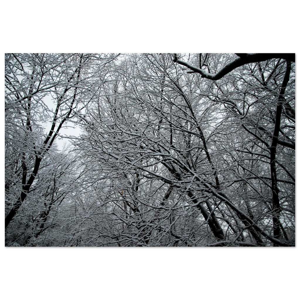 1e8ab629-3aa6-407a-a3ec-ba9c3bbb0cc6