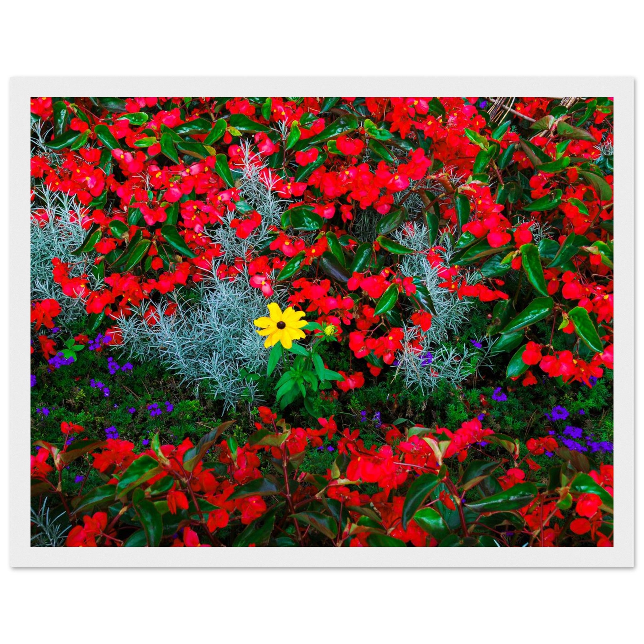 1ed0b679-e95d-42f5-939c-19835caa5c02