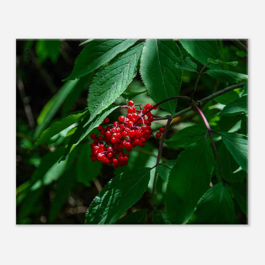 1f46bdfd-396e-41e2-8fec-0298078fc9f5