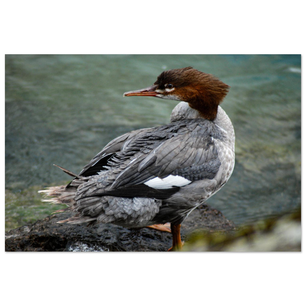 1f7d92b6-2f24-4abb-b336-6b7b6b5b9509