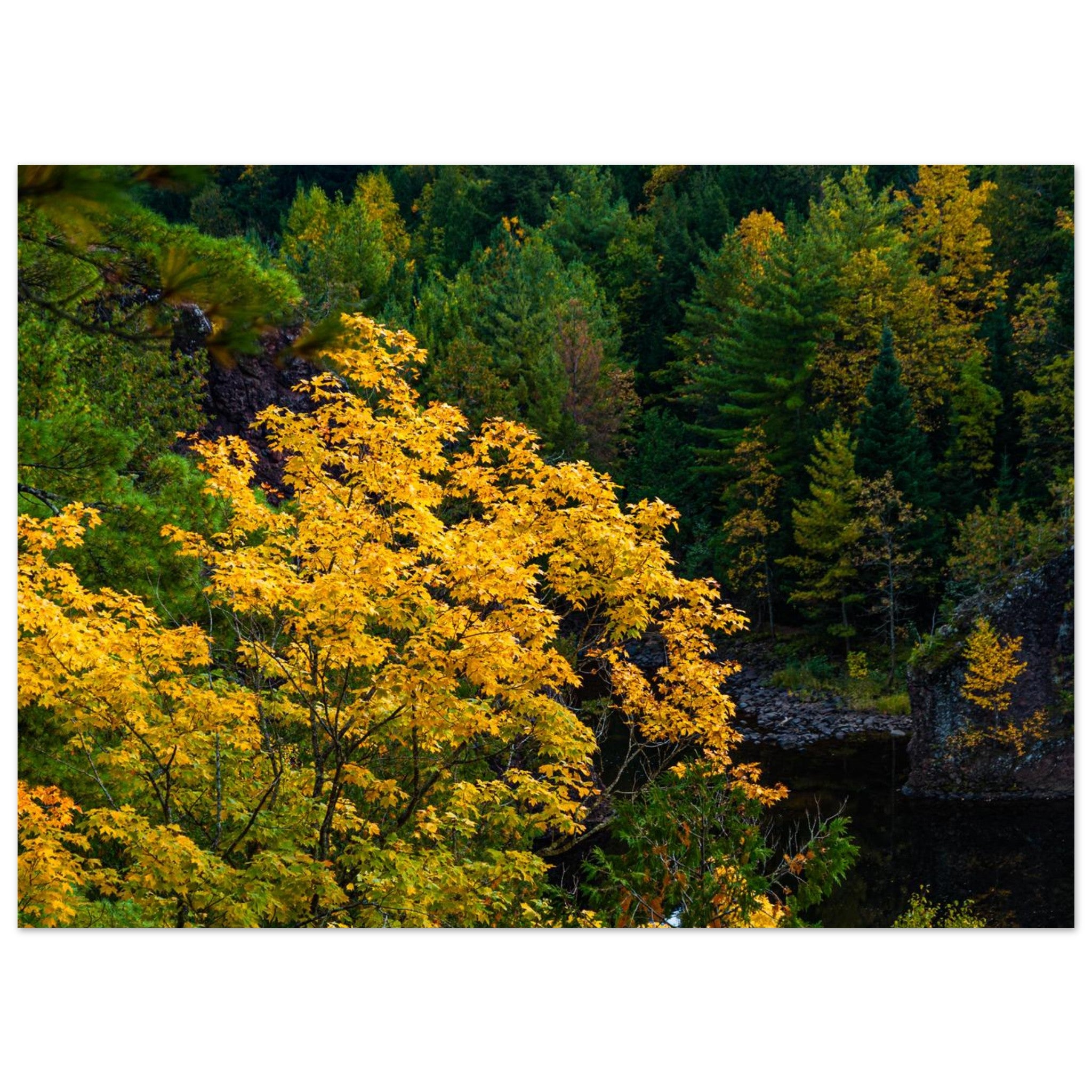 203f7cec-483a-45e8-b20b-5a783eb2d06f