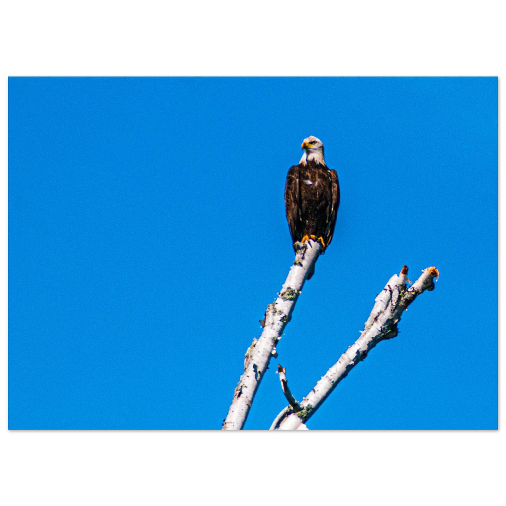 208faa74-68bd-4f8e-b7dc-a28d23201672