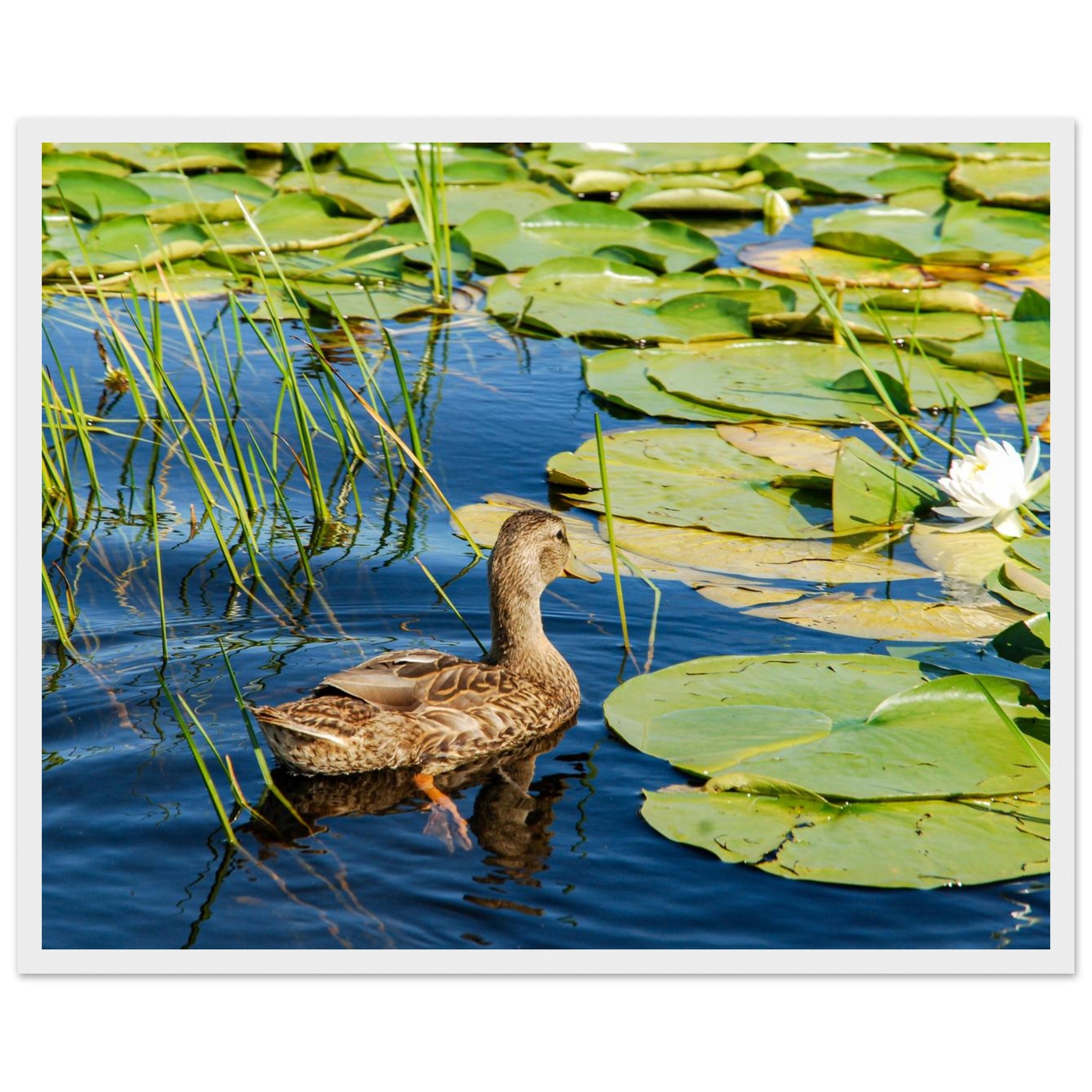 21d163da-0cda-4ca8-b757-7574bb995db2