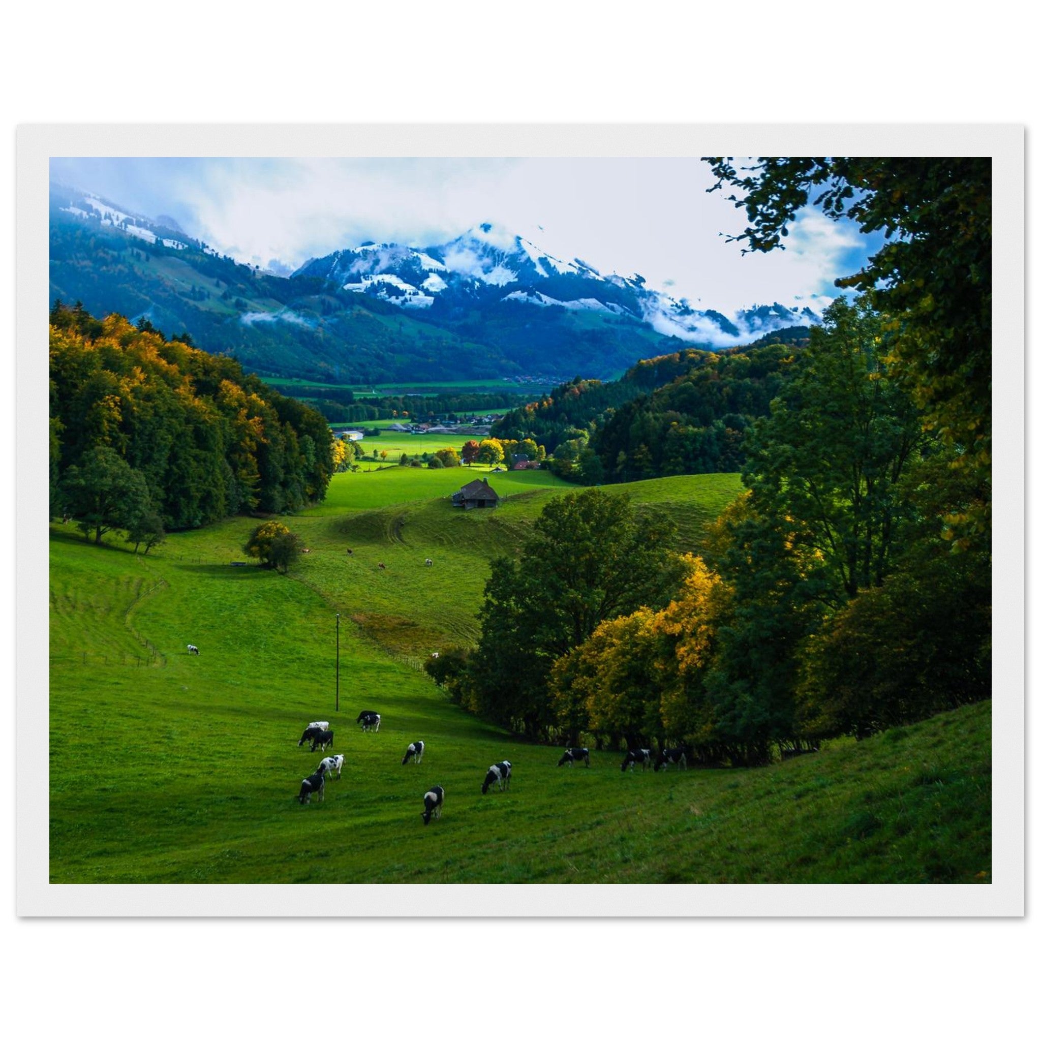 2373bd67-05eb-4f46-af58-79cf697c1d74