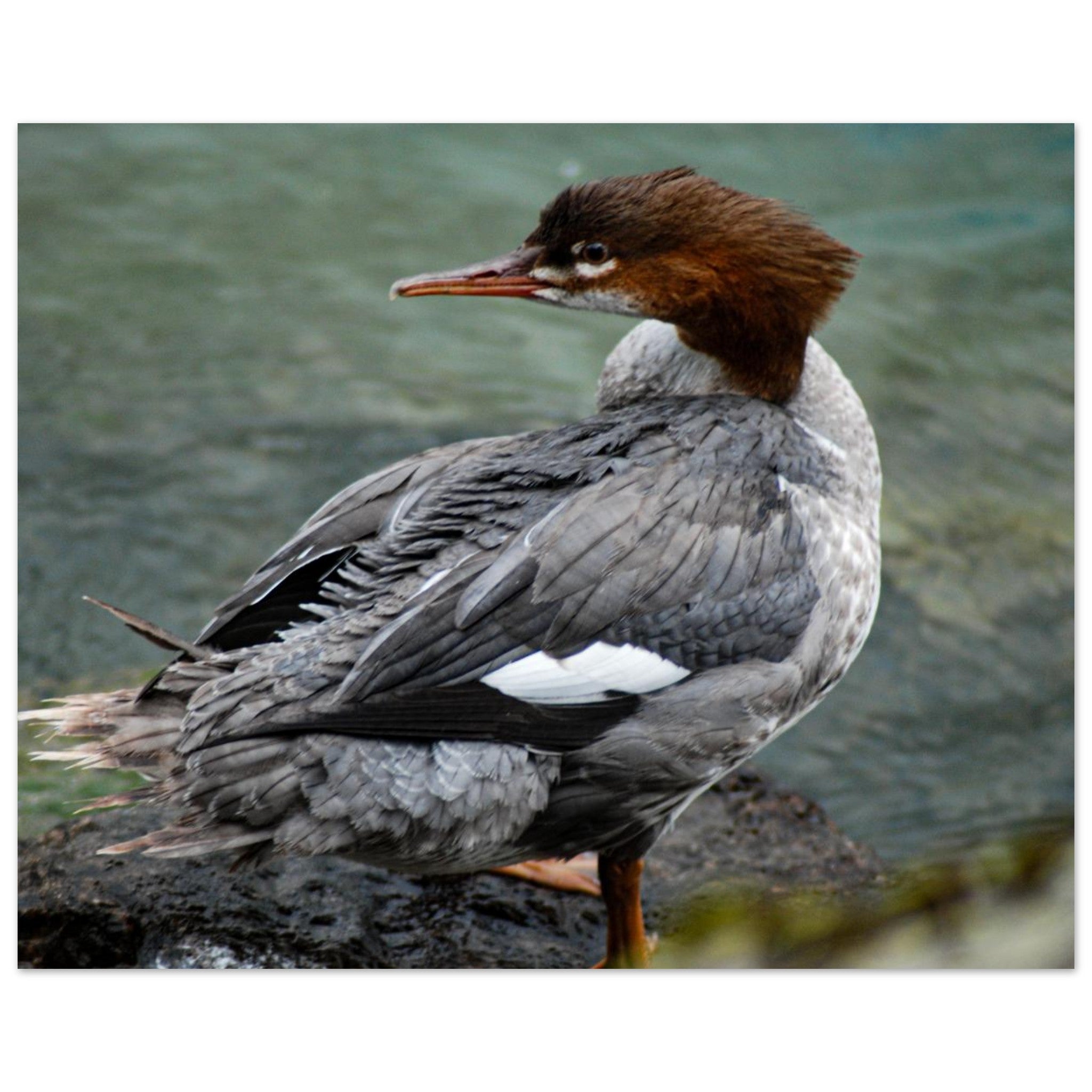 24d87c77-8e5e-4a1c-867f-bb23544b6464