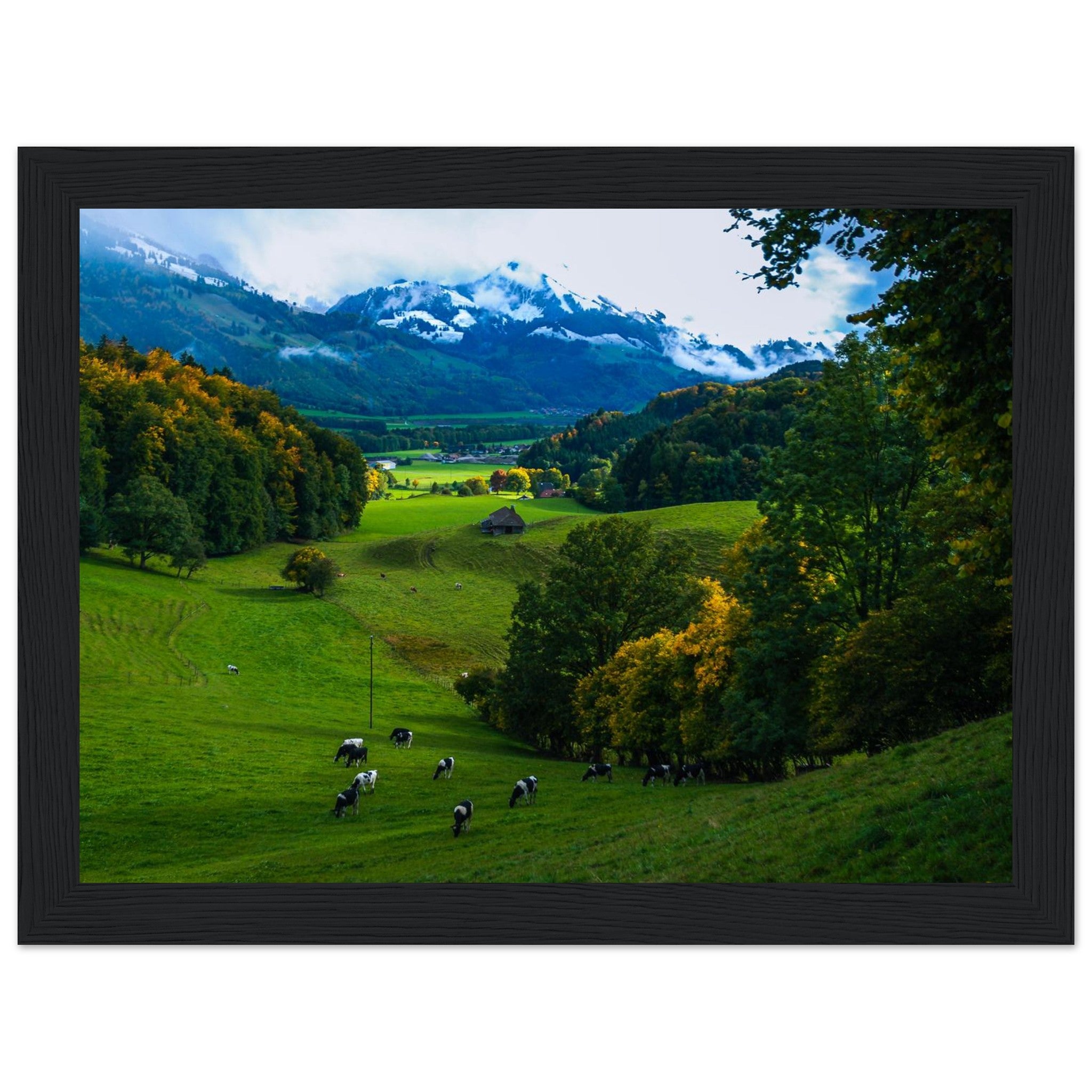 25d18583-0ae0-4323-9637-f1e1e015775b