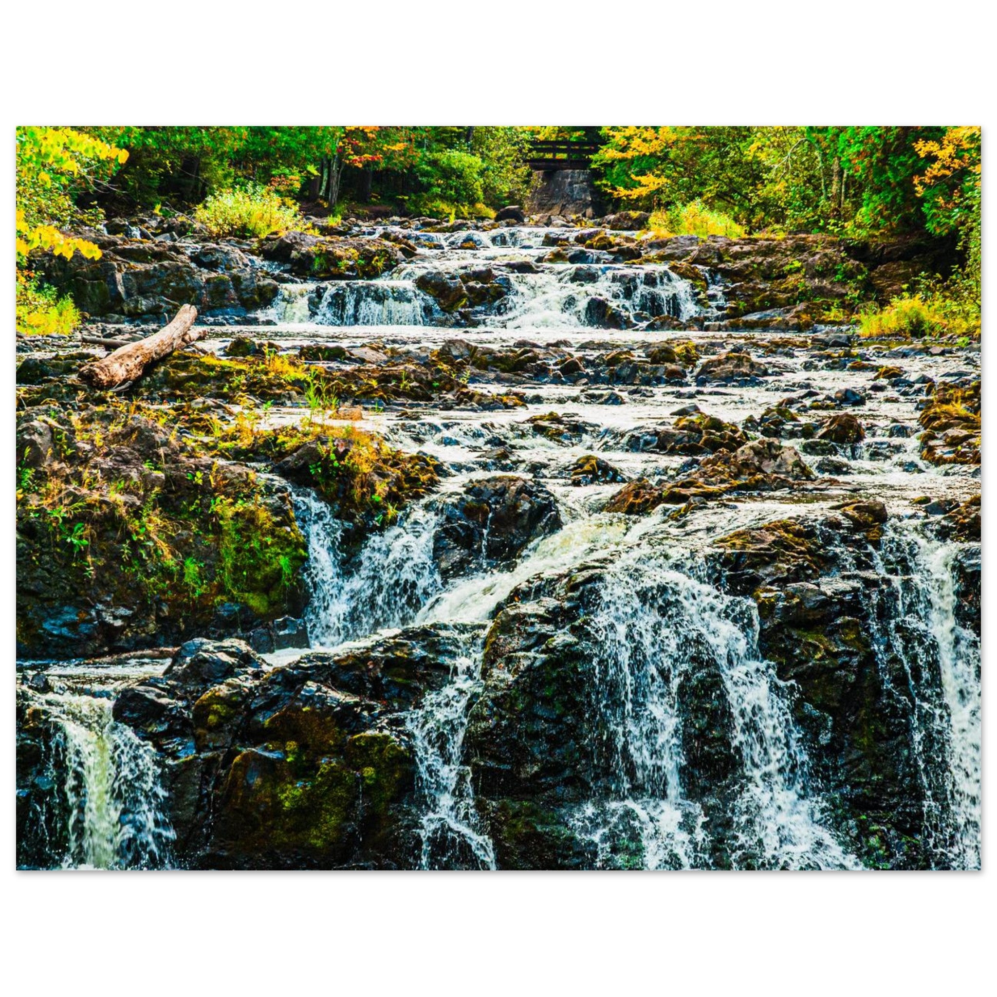 2a3fa1ed-4ff4-43ca-8a42-b39568be2dcc