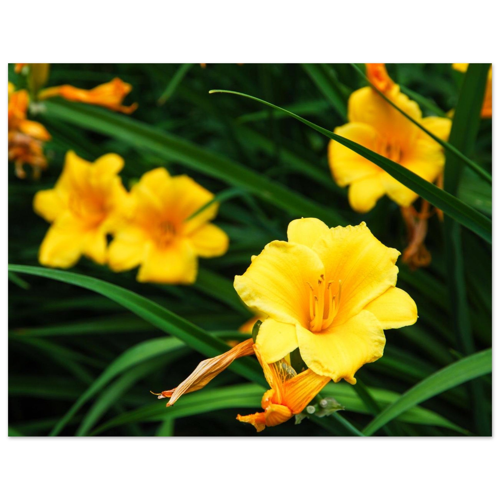 2a41dd36-2c1b-4a9a-a511-0c3647b9bbd9