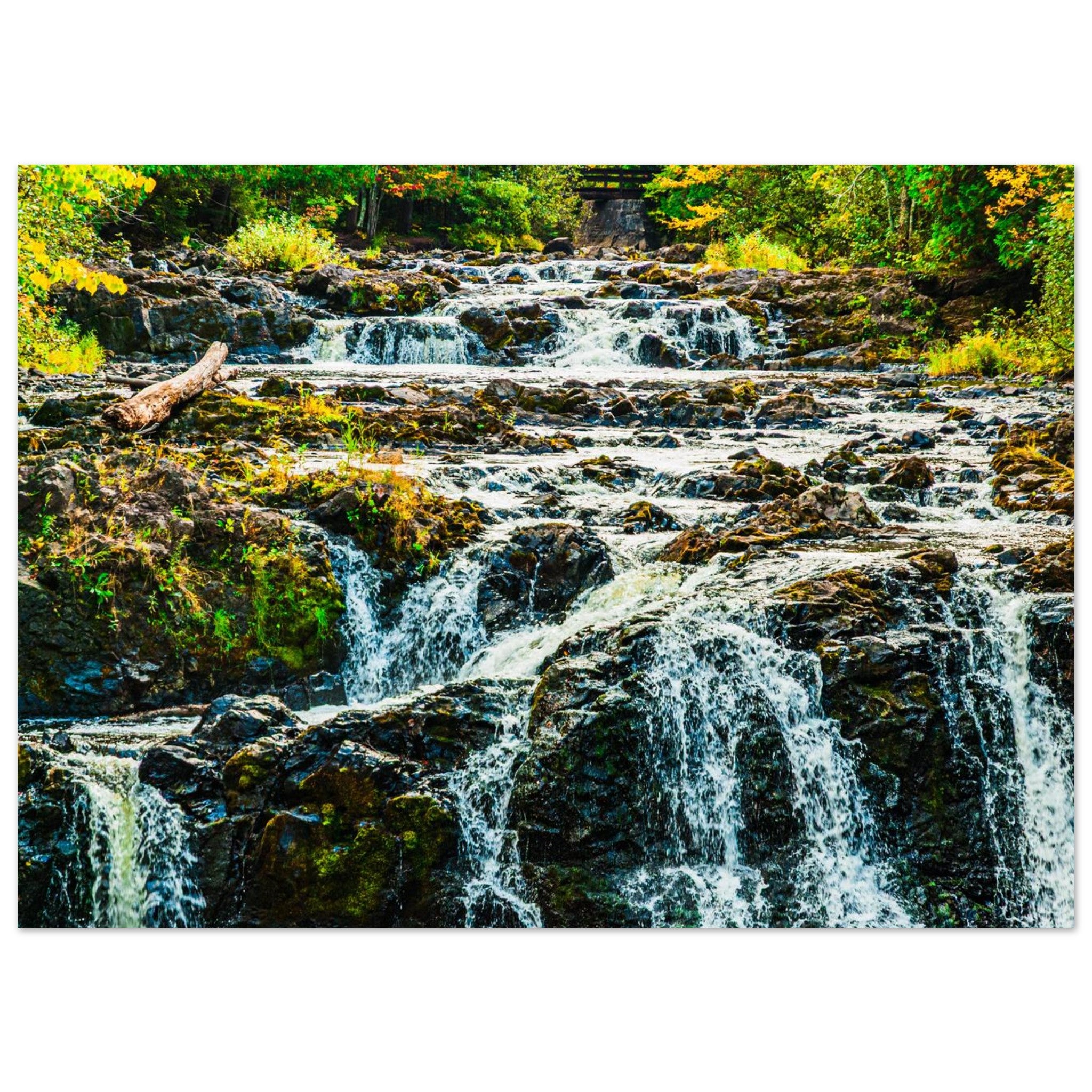 2c790178-c59e-48d6-b171-d0c22a0011c6