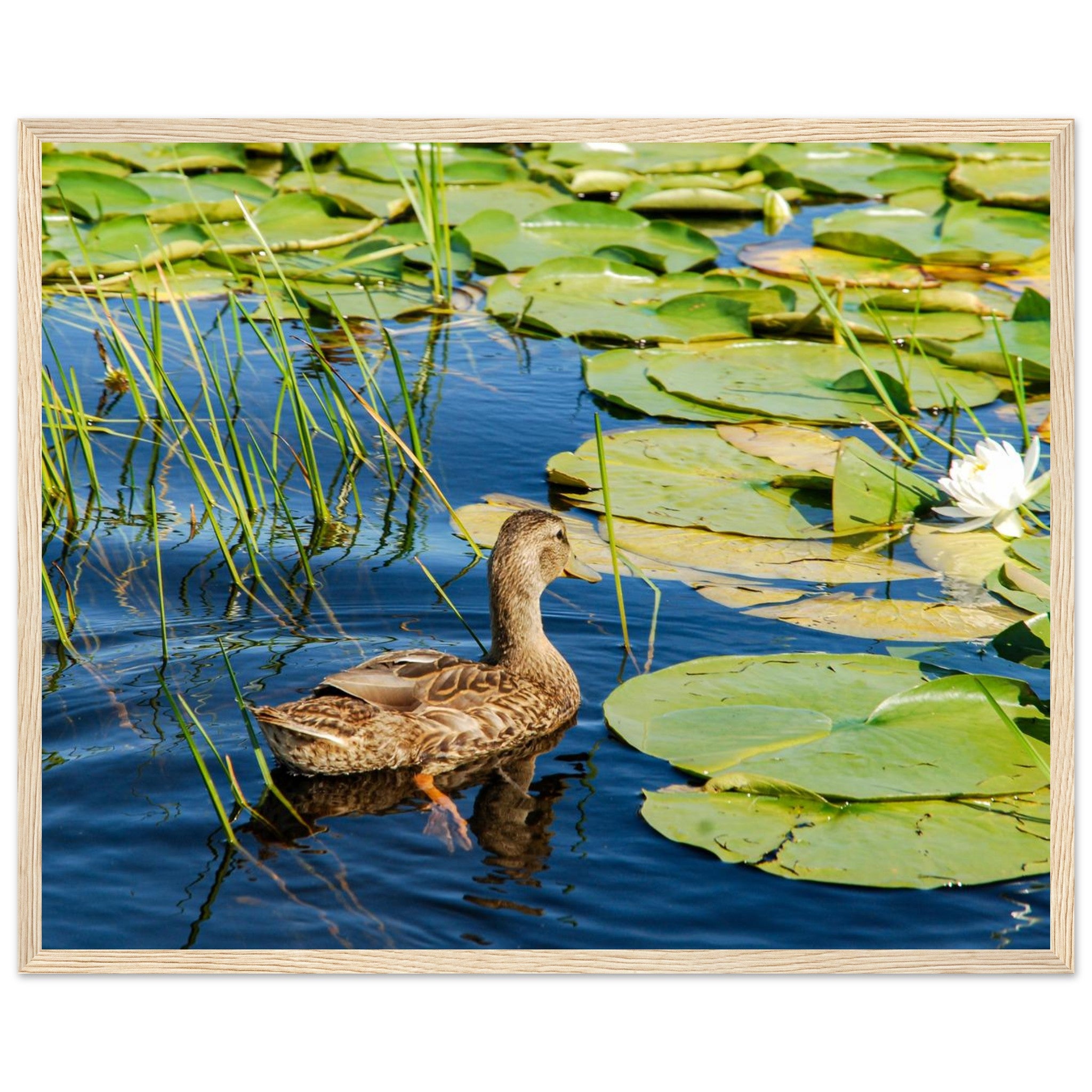 2d73314a-6e8a-4eb3-8e01-0d4600eba38b