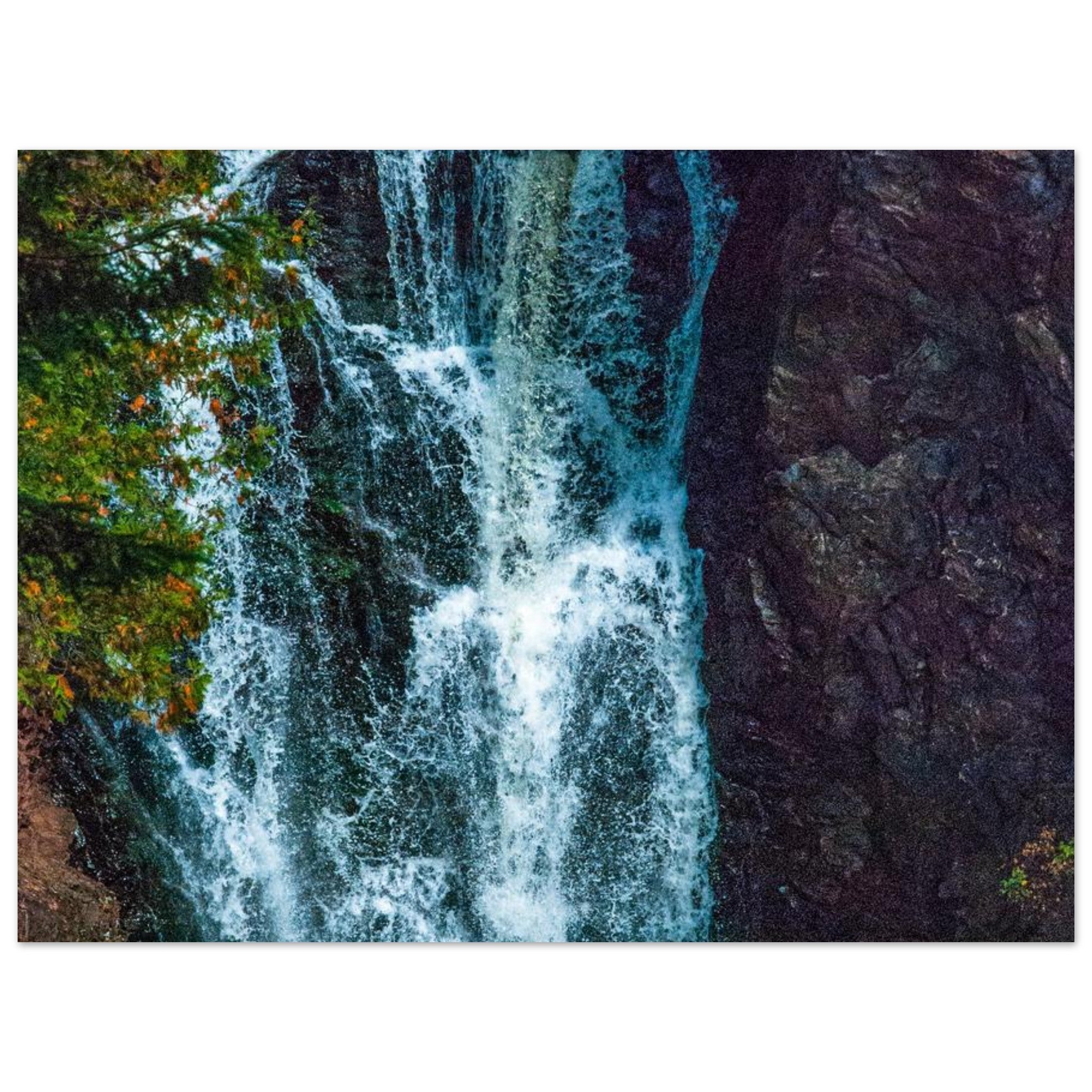 2fb100ed-a079-4890-95c7-fe331db10023