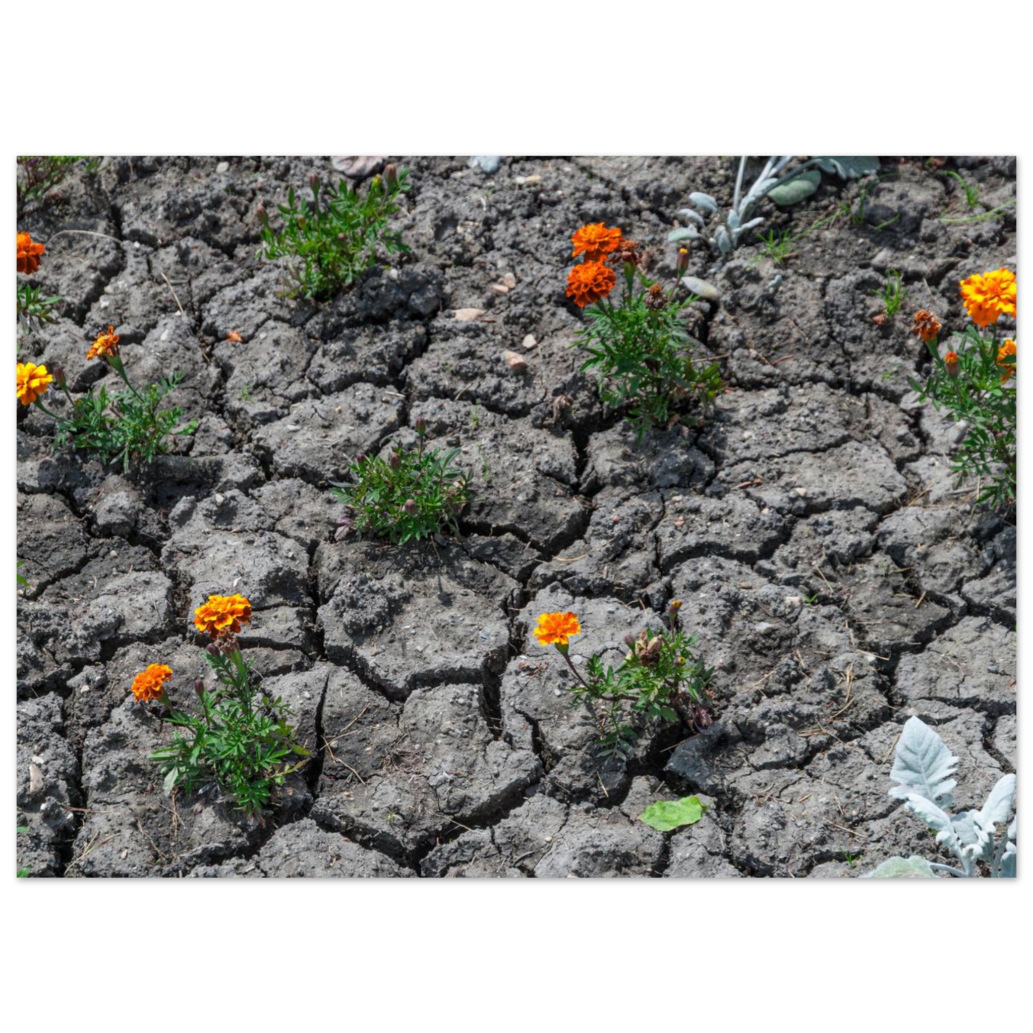 318455c1-8e49-4984-bbcc-de4f55654292