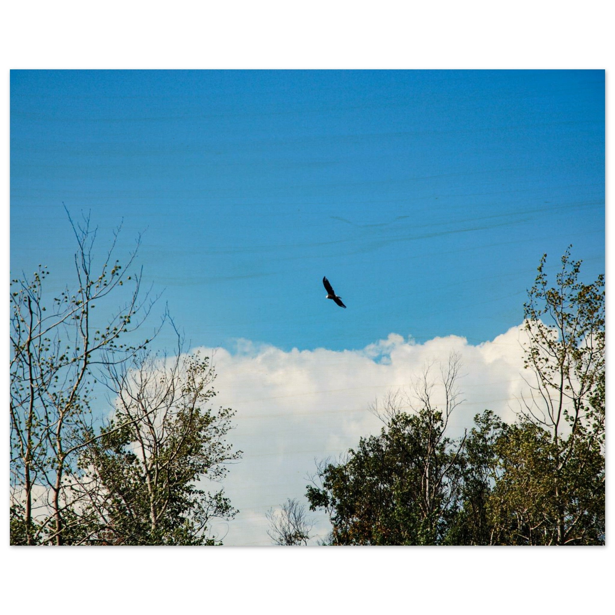 335cd685-d973-42ff-824c-af1a13010a6c